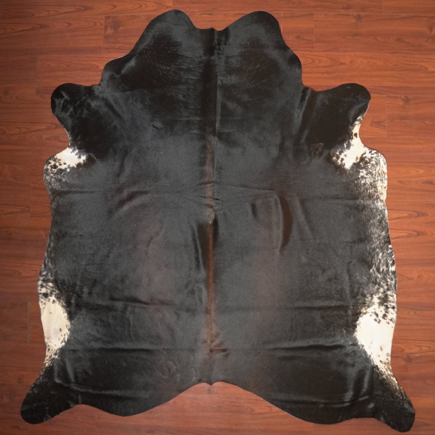 The Nguni Guy Nguni cowhide African decor Authentic cowhide Home decor Interior design Unique pattern Hand-selected Premium quality Natural beauty Exotic rug Genuine hide Statement piece Contemporary style Ethically sourced Sustainable decor Versatile accent Luxury rug Designer piece Modern aesthetic High-end craftsmanship Timeless elegance Designer home accents