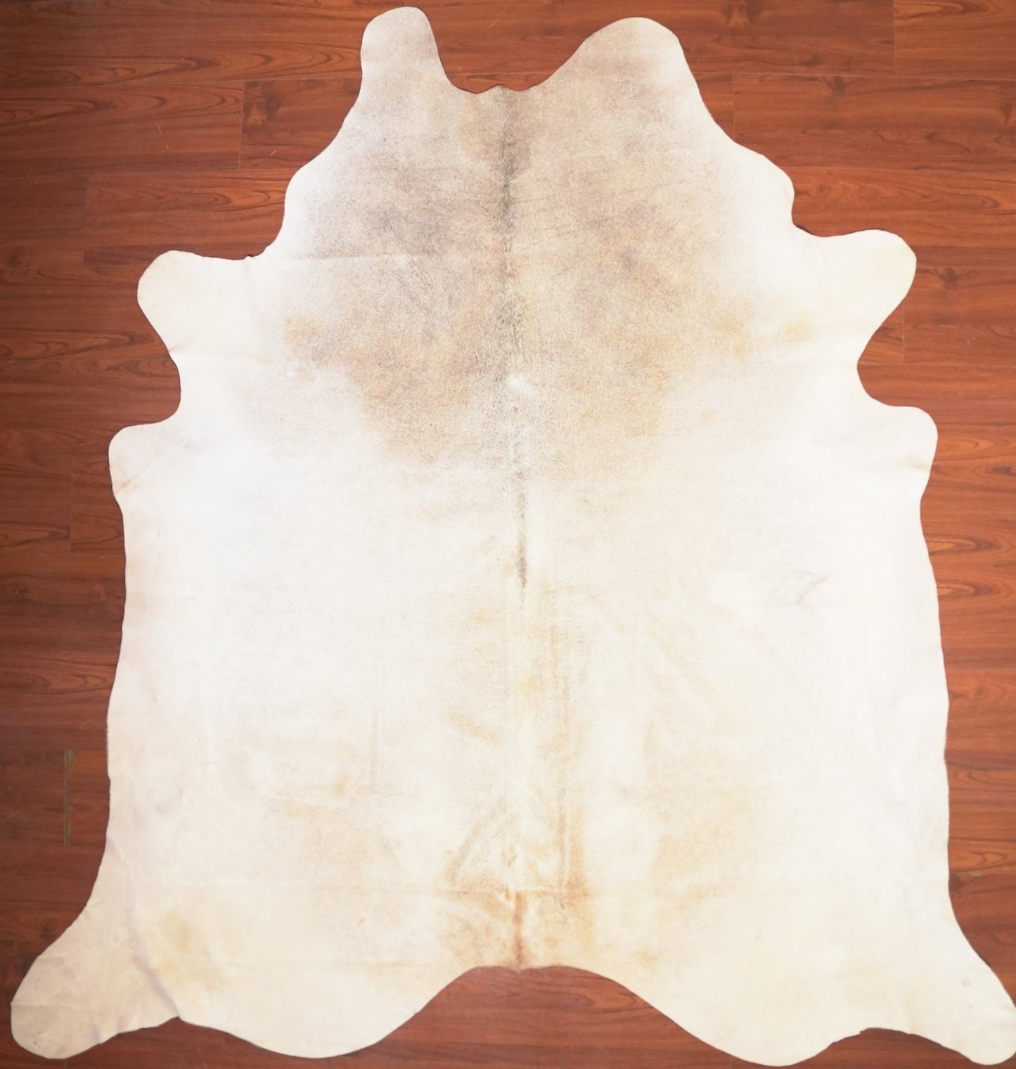 The Nguni Guy Nguni cowhide African decor Authentic cowhide Home decor Interior design Unique pattern Hand-selected Premium quality Natural beauty Exotic rug Genuine hide Statement piece Contemporary style Ethically sourced Sustainable decor Versatile accent Luxury rug Designer piece Modern aesthetic High-end craftsmanship Timeless elegance Designer home accents