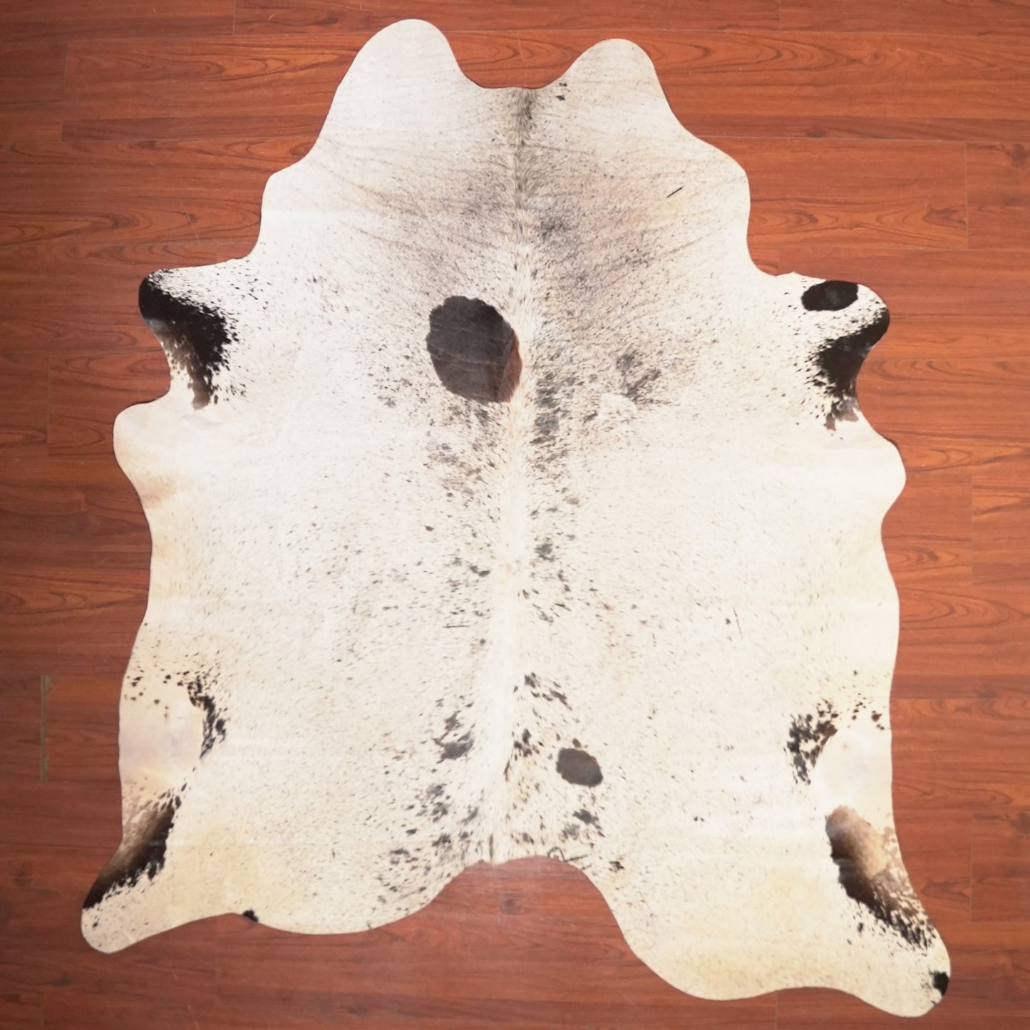 The Nguni Guy Nguni cowhide African decor Authentic cowhide Home decor Interior design Unique pattern Hand-selected Premium quality Natural beauty Exotic rug Genuine hide Statement piece Contemporary style Ethically sourced Sustainable decor Versatile accent Luxury rug Designer piece Modern aesthetic High-end craftsmanship Timeless elegance Designer home accents