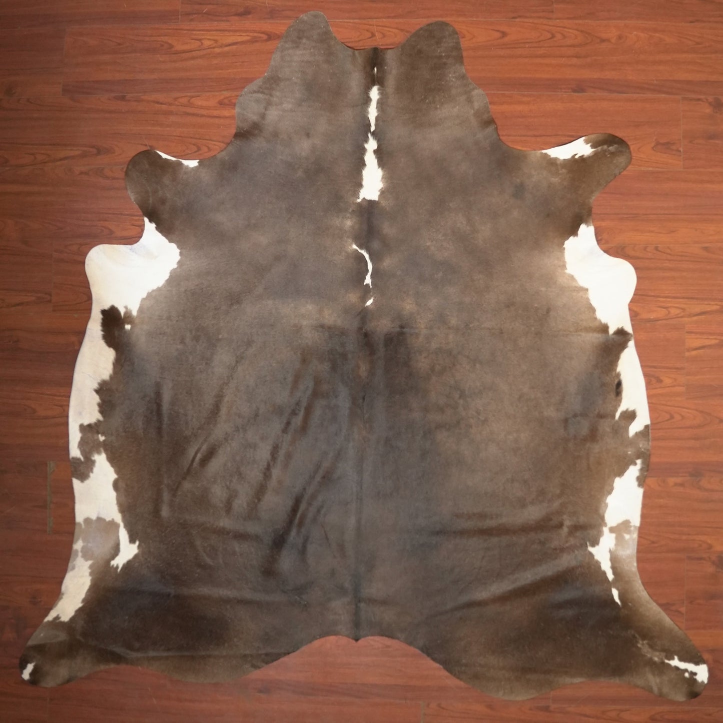 The Nguni Guy Nguni cowhide African decor Authentic cowhide Home decor Interior design Unique pattern Hand-selected Premium quality Natural beauty Exotic rug Genuine hide Statement piece Contemporary style Ethically sourced Sustainable decor Versatile accent Luxury rug Designer piece Modern aesthetic High-end craftsmanship Timeless elegance Designer home accents