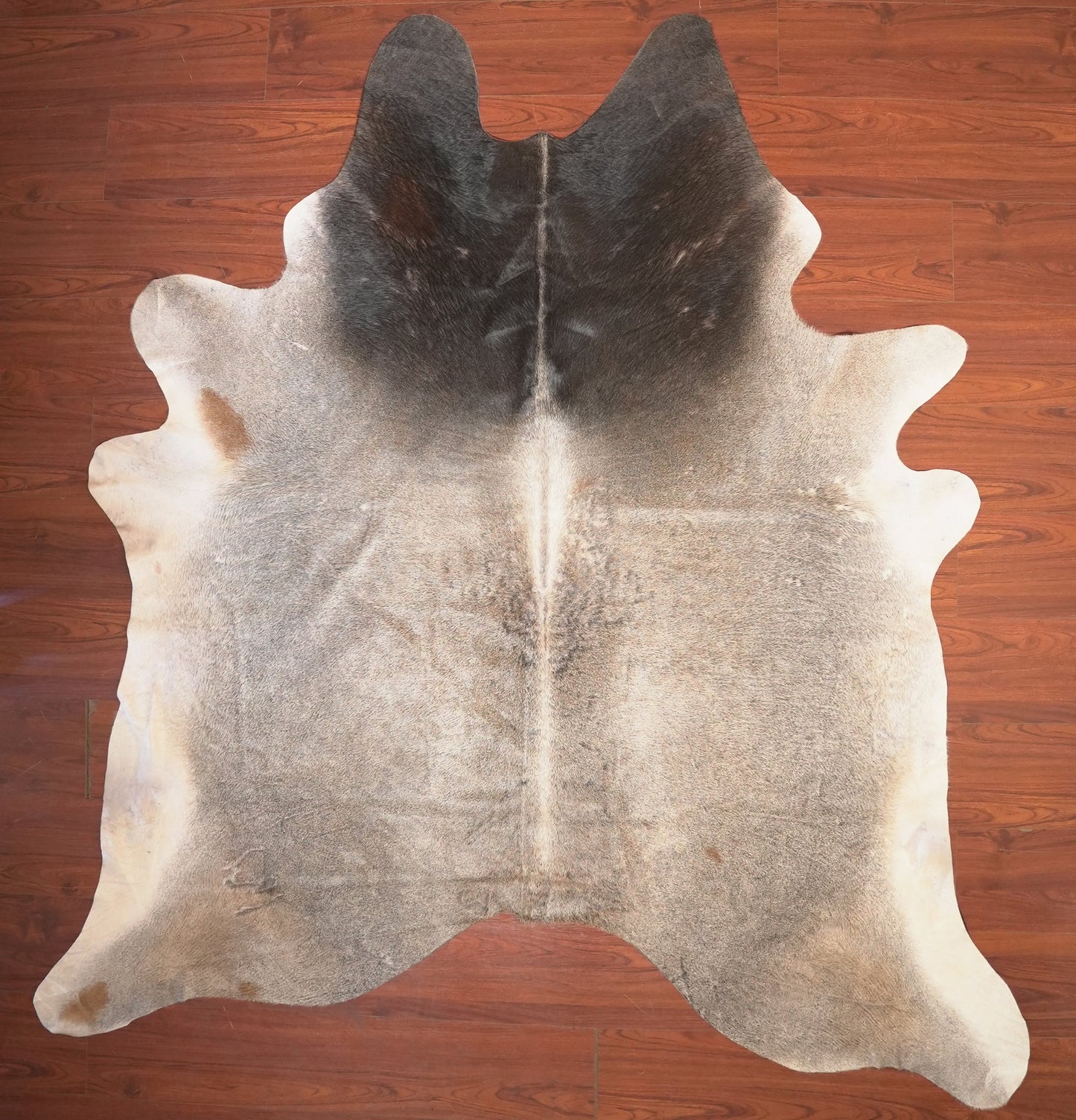 The Nguni Guy Nguni cowhide African decor Authentic cowhide Home decor Interior design Unique pattern Hand-selected Premium quality Natural beauty Exotic rug Genuine hide Statement piece Contemporary style Ethically sourced Sustainable decor Versatile accent Luxury rug Designer piece Modern aesthetic High-end craftsmanship Timeless elegance Designer home accents