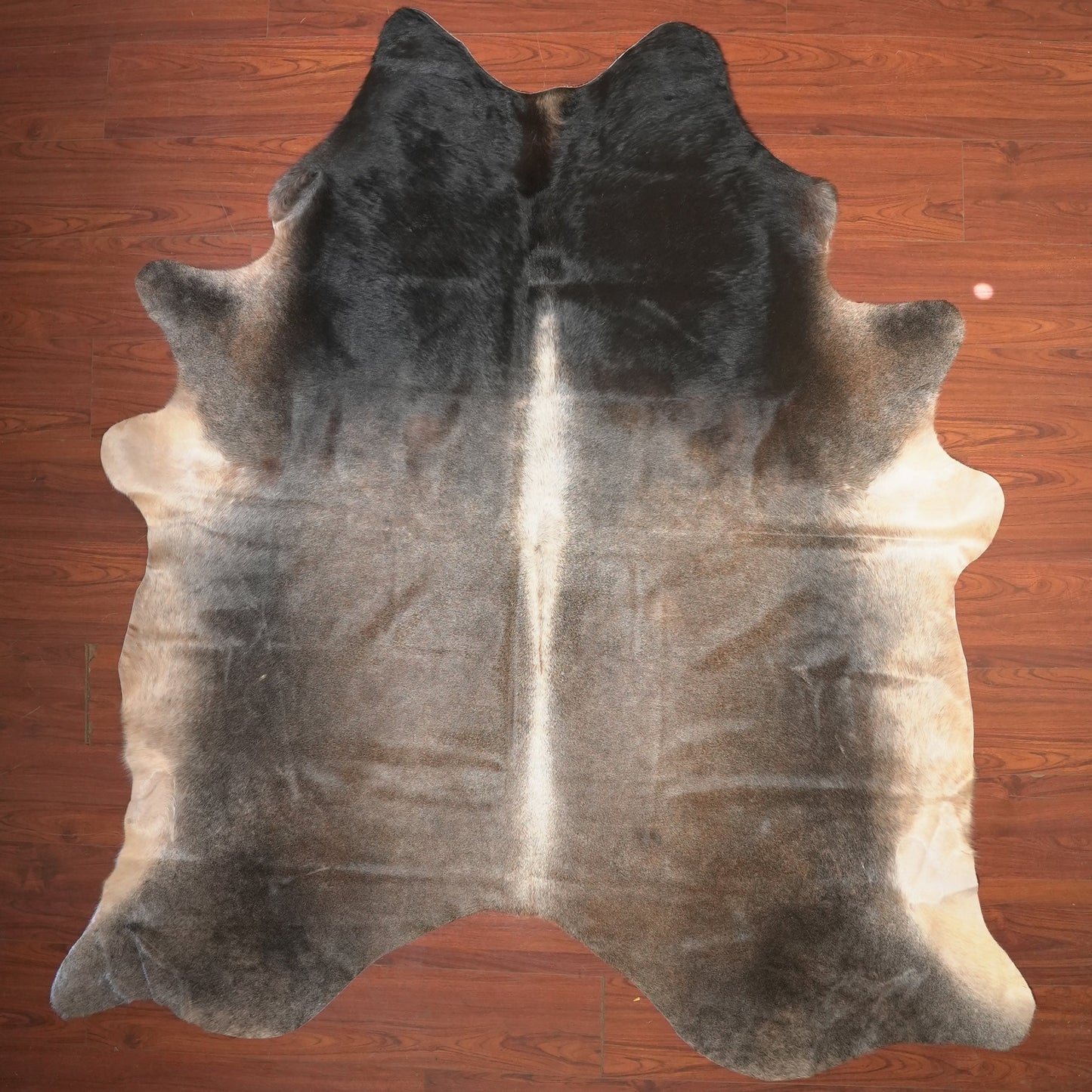 The Nguni Guy Nguni cowhide African decor Authentic cowhide Home decor Interior design Unique pattern Hand-selected Premium quality Natural beauty Exotic rug Genuine hide Statement piece Contemporary style Ethically sourced Sustainable decor Versatile accent Luxury rug Designer piece Modern aesthetic High-end craftsmanship Timeless elegance Designer home accents