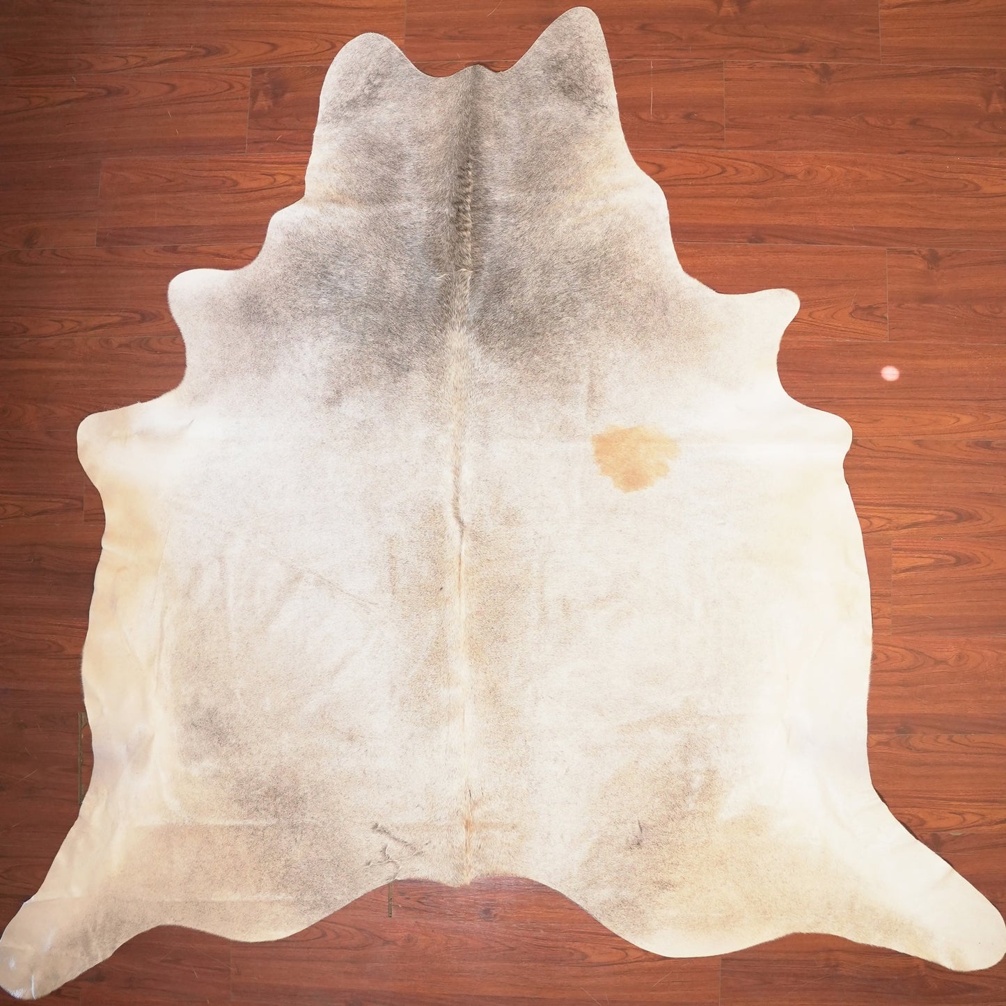 The Nguni Guy Nguni cowhide African decor Authentic cowhide Home decor Interior design Unique pattern Hand-selected Premium quality Natural beauty Exotic rug Genuine hide Statement piece Contemporary style Ethically sourced Sustainable decor Versatile accent Luxury rug Designer piece Modern aesthetic High-end craftsmanship Timeless elegance Designer home accents