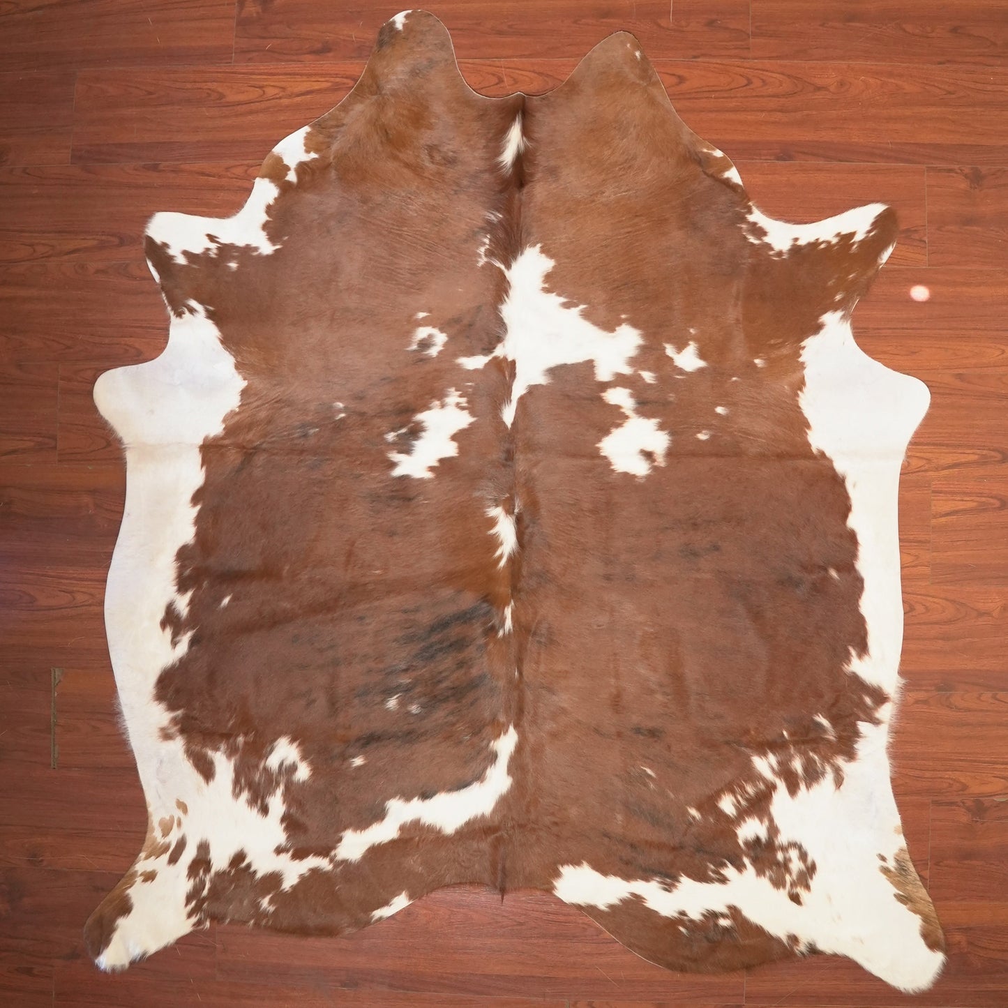 The Nguni Guy Nguni cowhide African decor Authentic cowhide Home decor Interior design Unique pattern Hand-selected Premium quality Natural beauty Exotic rug Genuine hide Statement piece Contemporary style Ethically sourced Sustainable decor Versatile accent Luxury rug Designer piece Modern aesthetic High-end craftsmanship Timeless elegance Designer home accents