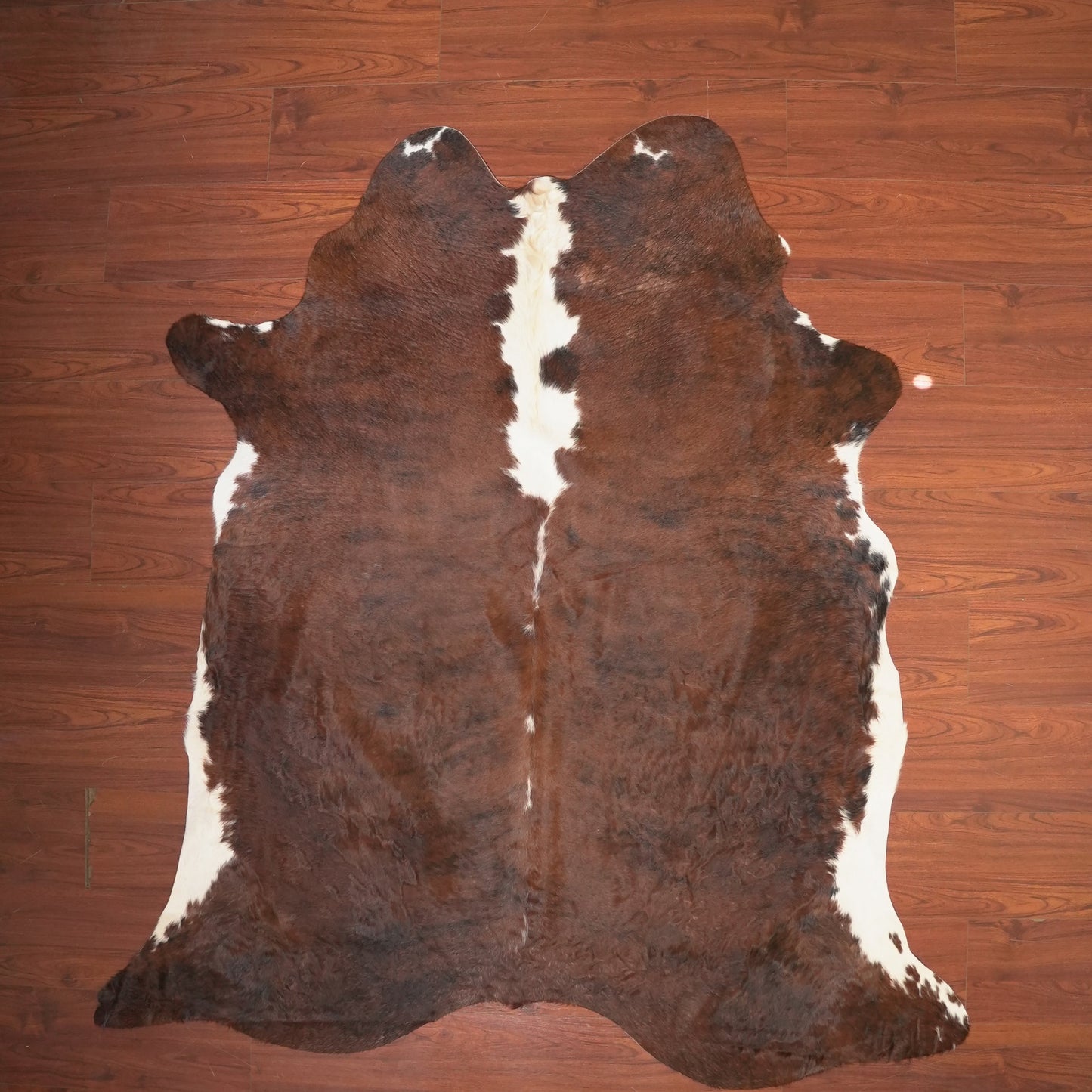 The Nguni Guy Nguni cowhide African decor Authentic cowhide Home decor Interior design Unique pattern Hand-selected Premium quality Natural beauty Exotic rug Genuine hide Statement piece Contemporary style Ethically sourced Sustainable decor Versatile accent Luxury rug Designer piece Modern aesthetic High-end craftsmanship Timeless elegance Designer home accents