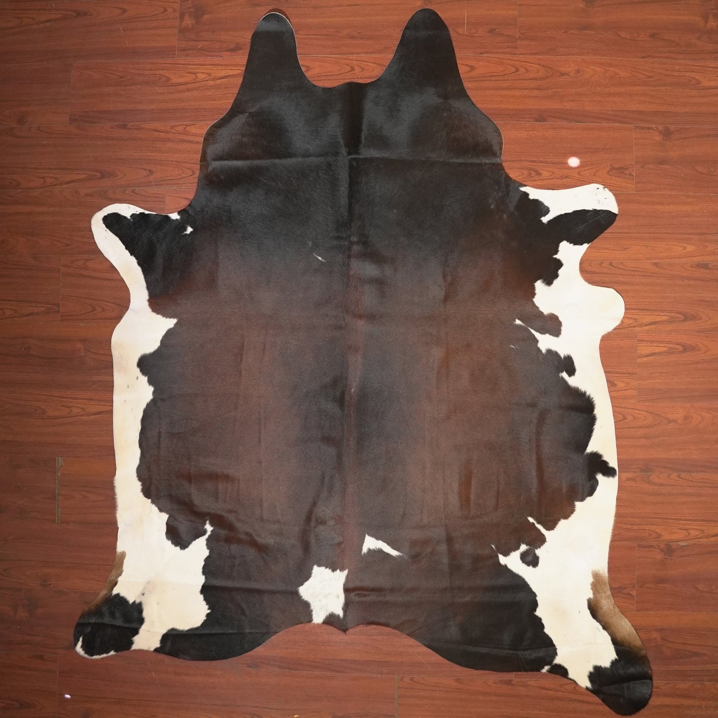 The Nguni Guy Nguni cowhide African decor Authentic cowhide Home decor Interior design Unique pattern Hand-selected Premium quality Natural beauty Exotic rug Genuine hide Statement piece Contemporary style Ethically sourced Sustainable decor Versatile accent Luxury rug Designer piece Modern aesthetic High-end craftsmanship Timeless elegance Designer home accents