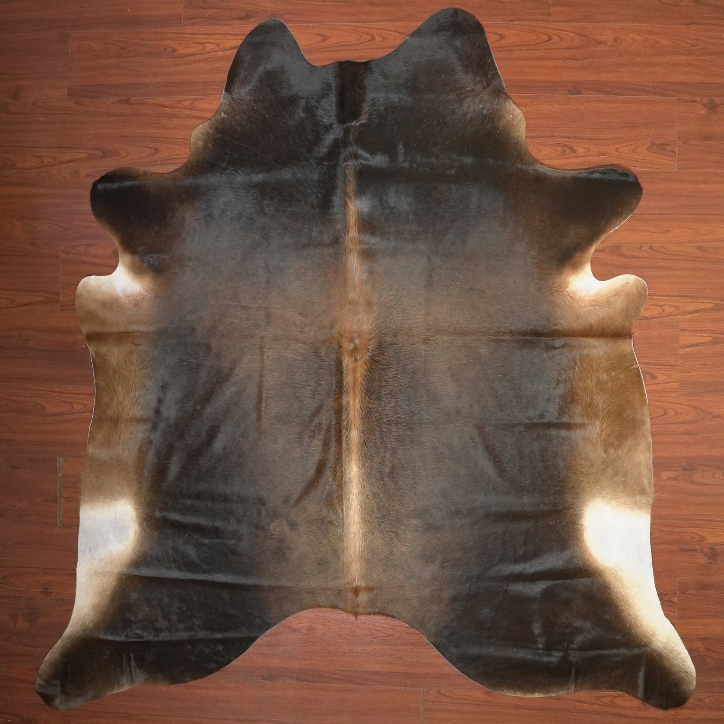 The Nguni Guy Nguni cowhide African decor Authentic cowhide Home decor Interior design Unique pattern Hand-selected Premium quality Natural beauty Exotic rug Genuine hide Statement piece Contemporary style Ethically sourced Sustainable decor Versatile accent Luxury rug Designer piece Modern aesthetic High-end craftsmanship Timeless elegance Designer home accents