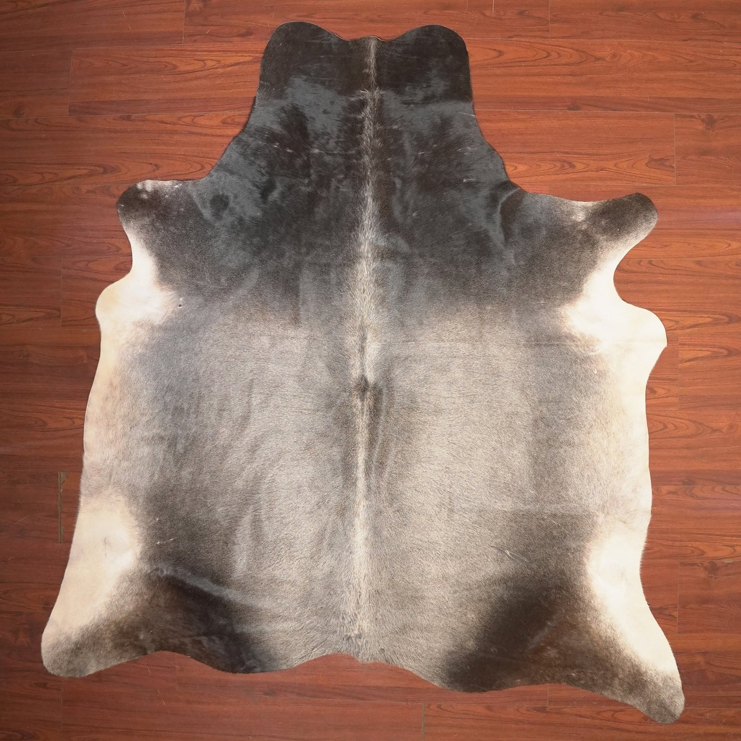 The Nguni Guy Nguni cowhide African decor Authentic cowhide Home decor Interior design Unique pattern Hand-selected Premium quality Natural beauty Exotic rug Genuine hide Statement piece Contemporary style Ethically sourced Sustainable decor Versatile accent Luxury rug Designer piece Modern aesthetic High-end craftsmanship Timeless elegance Designer home accents