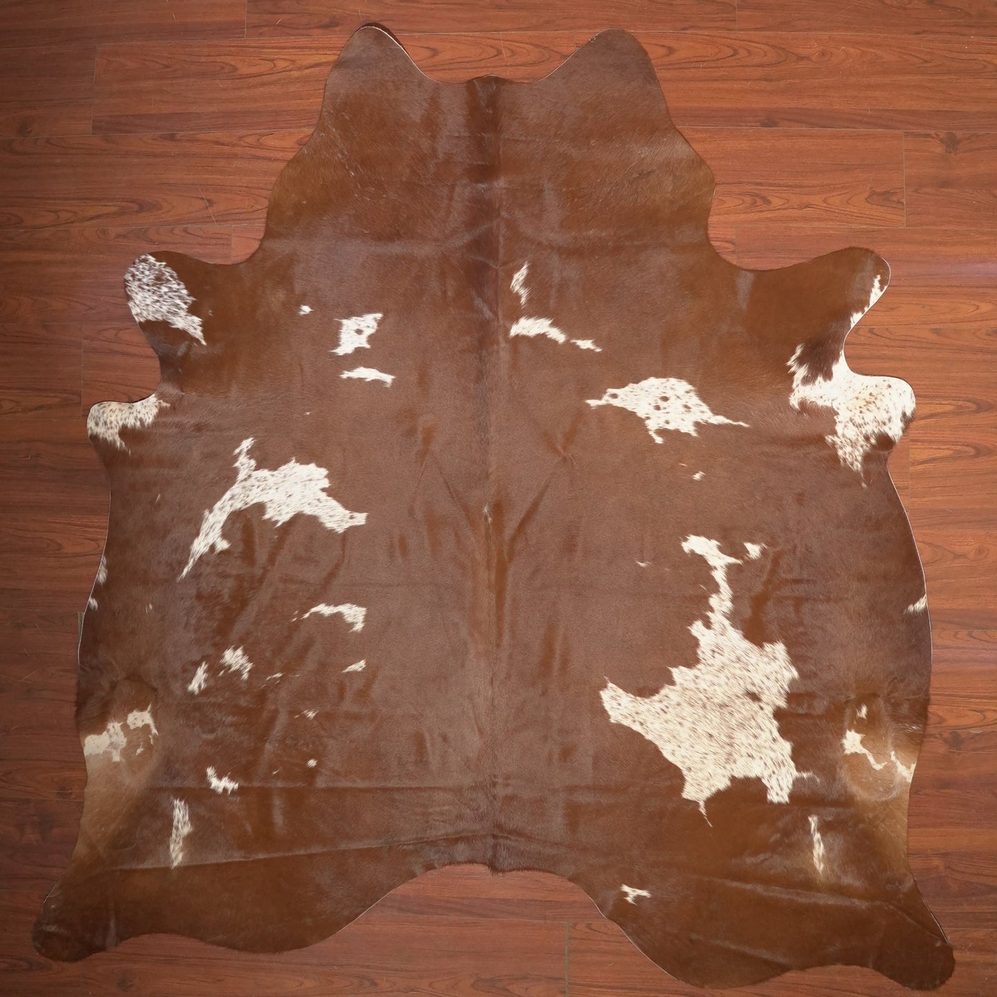The Nguni Guy Nguni cowhide African decor Authentic cowhide Home decor Interior design Unique pattern Hand-selected Premium quality Natural beauty Exotic rug Genuine hide Statement piece Contemporary style Ethically sourced Sustainable decor Versatile accent Luxury rug Designer piece Modern aesthetic High-end craftsmanship Timeless elegance Designer home accents