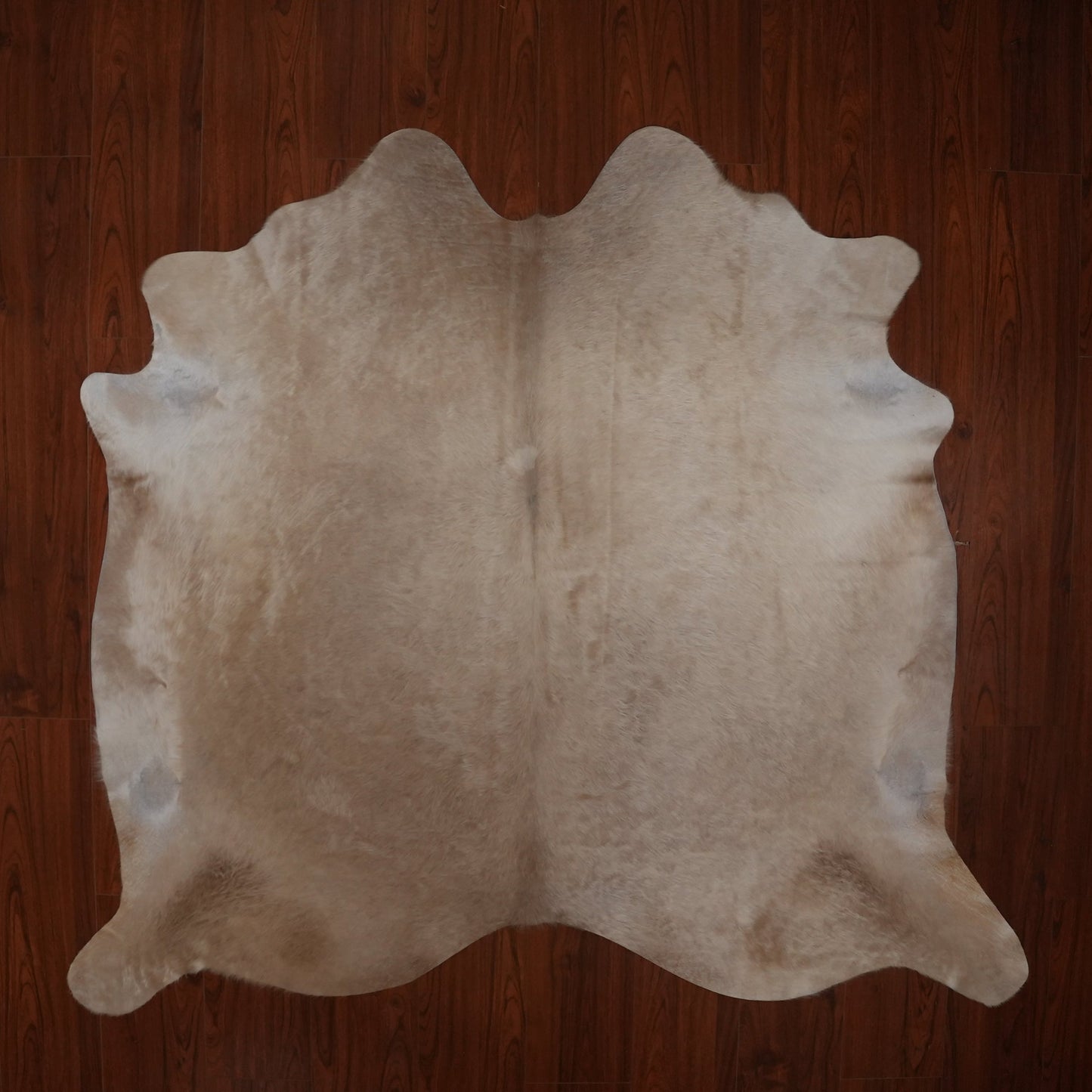The Nguni Guy Nguni cowhide African decor Authentic cowhide Home decor Interior design Unique pattern Hand-selected Premium quality Natural beauty Exotic rug Genuine hide Statement piece Contemporary style Ethically sourced Sustainable decor Versatile accent Luxury rug Designer piece Modern aesthetic High-end craftsmanship Timeless elegance Designer home accents