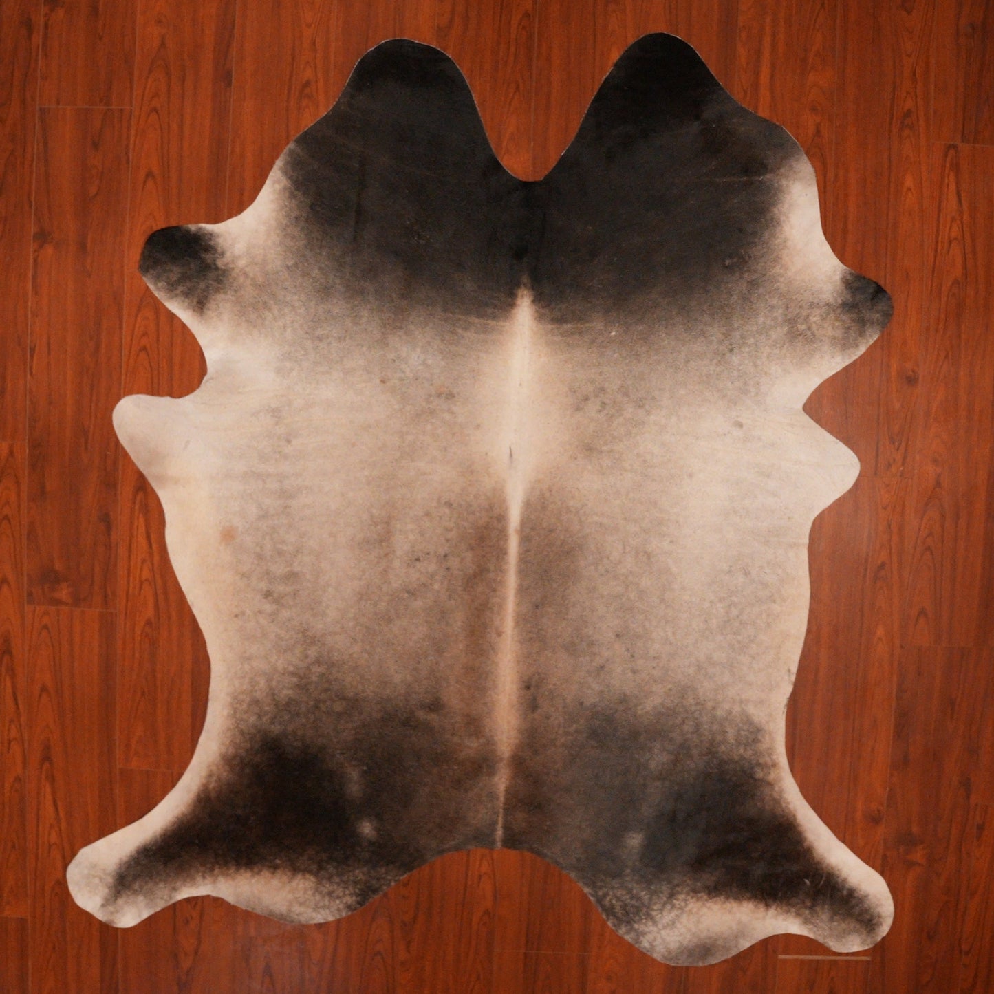 The Nguni Guy Nguni cowhide African decor Authentic cowhide Home decor Interior design Unique pattern Hand-selected Premium quality Natural beauty Exotic rug Genuine hide Statement piece Contemporary style Ethically sourced Sustainable decor Versatile accent Luxury rug Designer piece Modern aesthetic High-end craftsmanship Timeless elegance Designer home accents