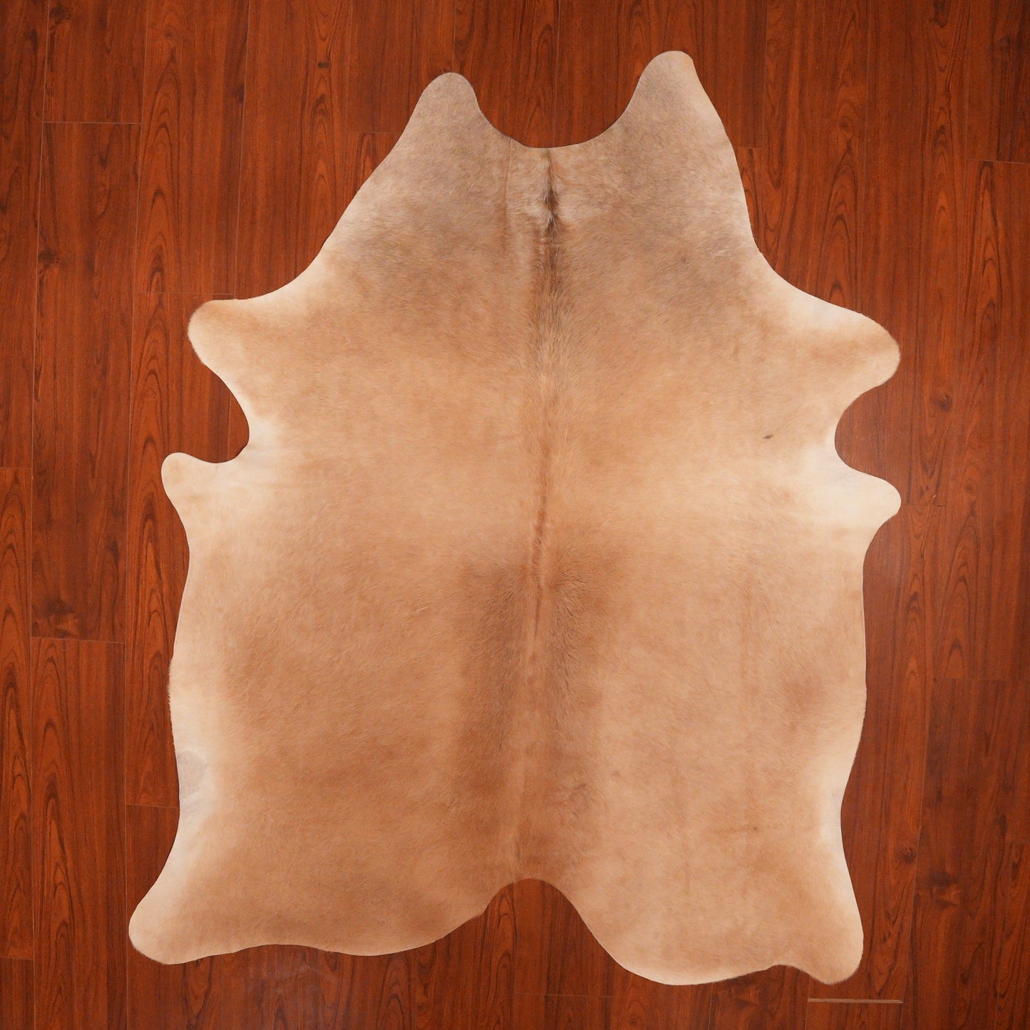 The Nguni Guy Nguni cowhide African decor Authentic cowhide Home decor Interior design Unique pattern Hand-selected Premium quality Natural beauty Exotic rug Genuine hide Statement piece Contemporary style Ethically sourced Sustainable decor Versatile accent Luxury rug Designer piece Modern aesthetic High-end craftsmanship Timeless elegance Designer home accents