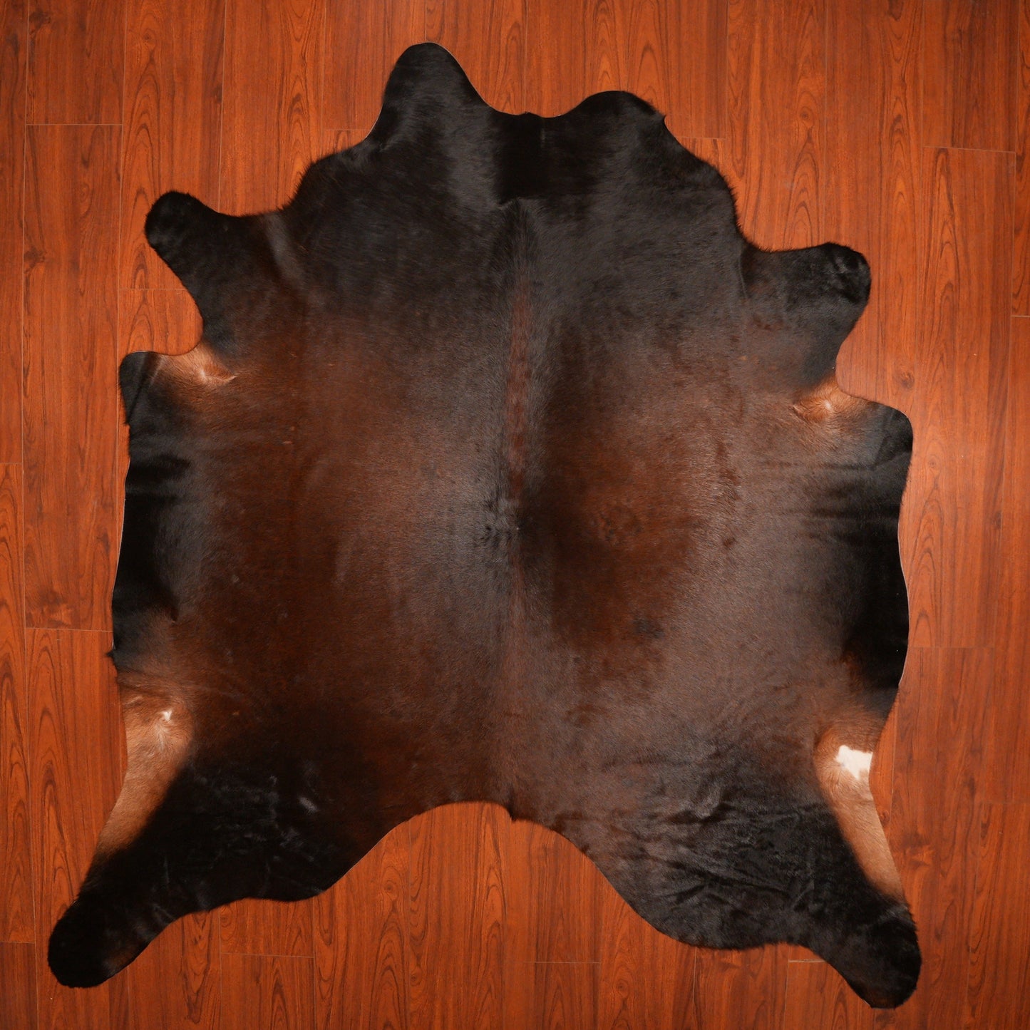The Nguni Guy Nguni cowhide African decor Authentic cowhide Home decor Interior design Unique pattern Hand-selected Premium quality Natural beauty Exotic rug Genuine hide Statement piece Contemporary style Ethically sourced Sustainable decor Versatile accent Luxury rug Designer piece Modern aesthetic High-end craftsmanship Timeless elegance Designer home accents