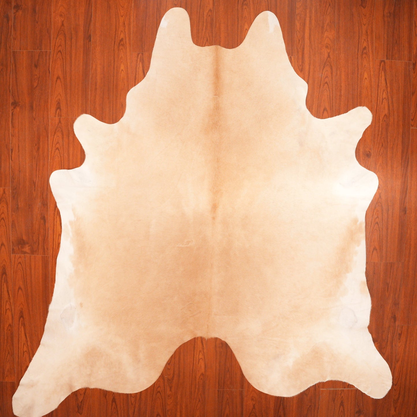 The Nguni Guy Nguni cowhide African decor Authentic cowhide Home decor Interior design Unique pattern Hand-selected Premium quality Natural beauty Exotic rug Genuine hide Statement piece Contemporary style Ethically sourced Sustainable decor Versatile accent Luxury rug Designer piece Modern aesthetic High-end craftsmanship Timeless elegance Designer home accents