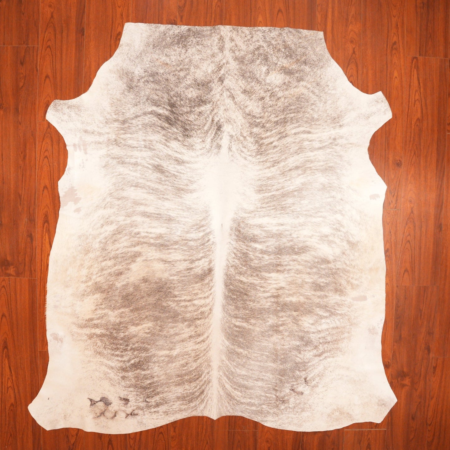 The Nguni Guy Nguni cowhide African decor Authentic cowhide Home decor Interior design Unique pattern Hand-selected Premium quality Natural beauty Exotic rug Genuine hide Statement piece Contemporary style Ethically sourced Sustainable decor Versatile accent Luxury rug Designer piece Modern aesthetic High-end craftsmanship Timeless elegance Designer home accents