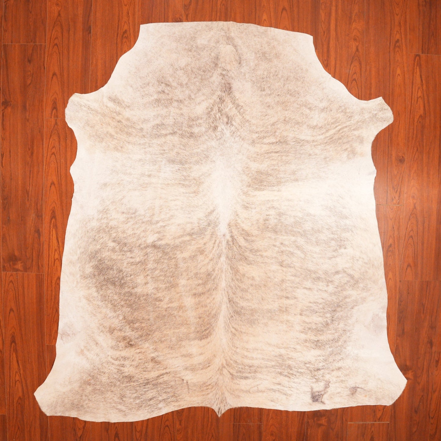The Nguni Guy Nguni cowhide African decor Authentic cowhide Home decor Interior design Unique pattern Hand-selected Premium quality Natural beauty Exotic rug Genuine hide Statement piece Contemporary style Ethically sourced Sustainable decor Versatile accent Luxury rug Designer piece Modern aesthetic High-end craftsmanship Timeless elegance Designer home accents