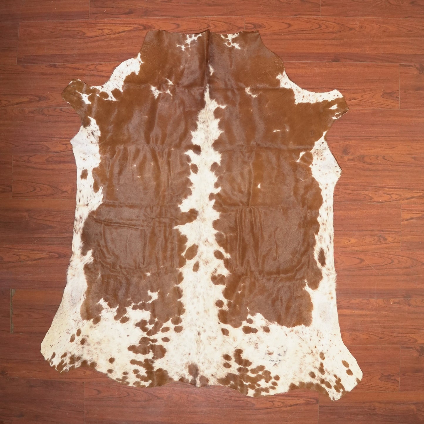 The Nguni Guy Nguni cowhide African decor Authentic cowhide Home decor Interior design Unique pattern Hand-selected Premium quality Natural beauty Exotic rug Genuine hide Statement piece Contemporary style Ethically sourced Sustainable decor Versatile accent Luxury rug Designer piece Modern aesthetic High-end craftsmanship Timeless elegance Designer home accents