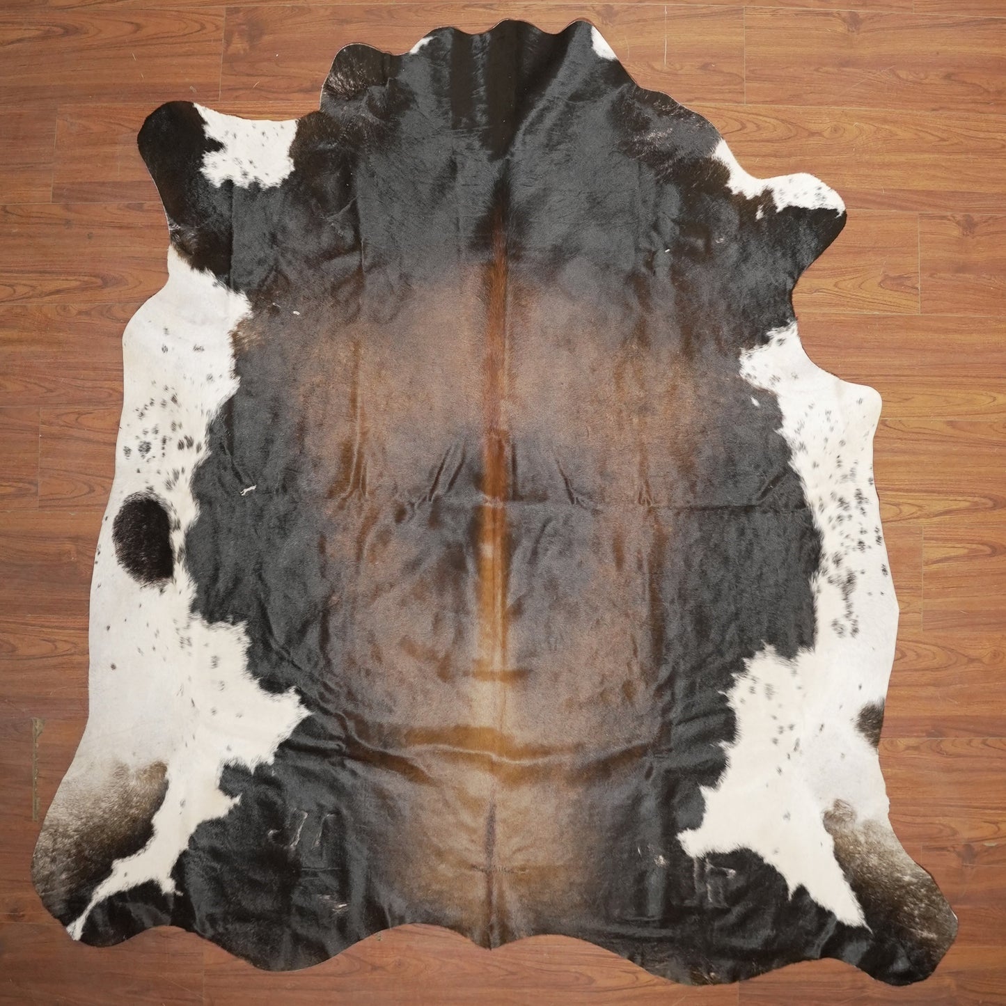 The Nguni Guy Nguni cowhide African decor Authentic cowhide Home decor Interior design Unique pattern Hand-selected Premium quality Natural beauty Exotic rug Genuine hide Statement piece Contemporary style Ethically sourced Sustainable decor Versatile accent Luxury rug Designer piece Modern aesthetic High-end craftsmanship Timeless elegance Designer home accents