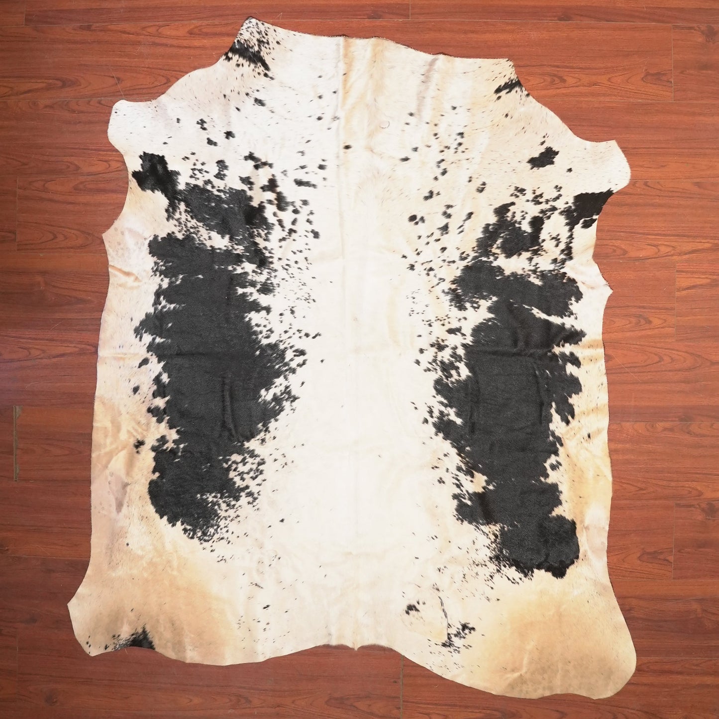The Nguni Guy Nguni cowhide African decor Authentic cowhide Home decor Interior design Unique pattern Hand-selected Premium quality Natural beauty Exotic rug Genuine hide Statement piece Contemporary style Ethically sourced Sustainable decor Versatile accent Luxury rug Designer piece Modern aesthetic High-end craftsmanship Timeless elegance Designer home accents