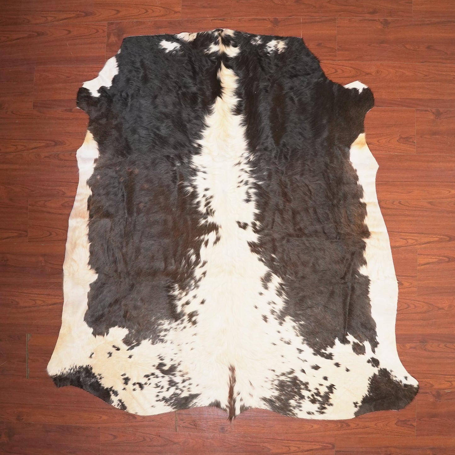 The Nguni Guy Nguni cowhide African decor Authentic cowhide Home decor Interior design Unique pattern Hand-selected Premium quality Natural beauty Exotic rug Genuine hide Statement piece Contemporary style Ethically sourced Sustainable decor Versatile accent Luxury rug Designer piece Modern aesthetic High-end craftsmanship Timeless elegance Designer home accents