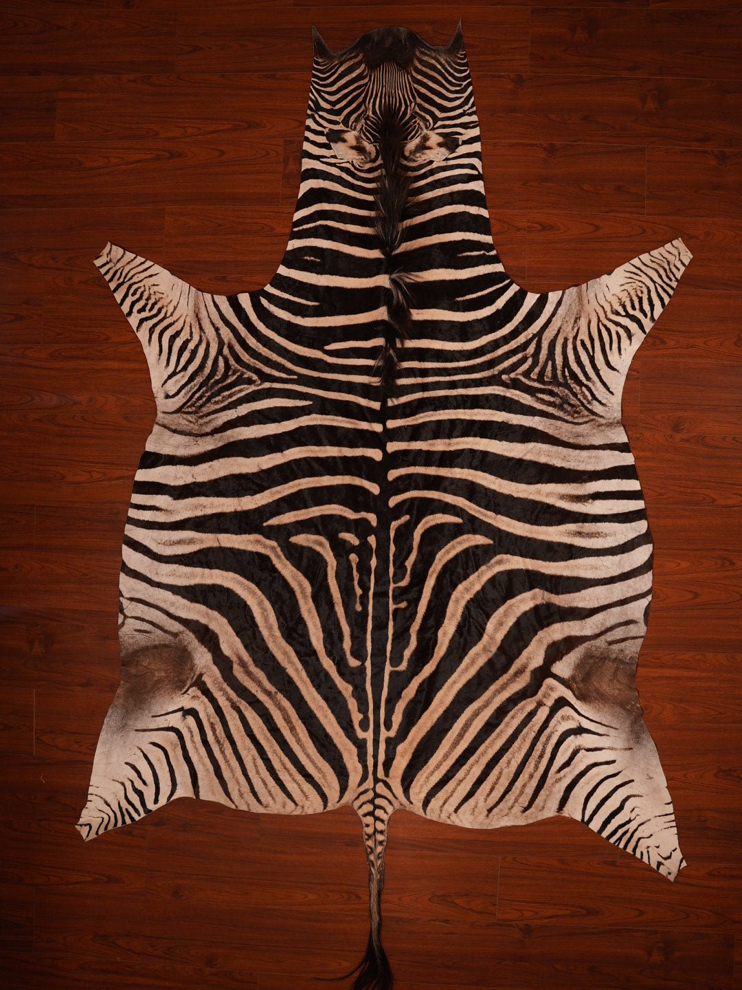The Nguni Guy Nguni cowhide African decor Authentic cowhide Home decor Interior design Unique pattern Hand-selected Premium quality Natural beauty Exotic rug Genuine hide Statement piece Contemporary style Ethically sourced Sustainable decor Versatile accent Luxury rug Designer piece Modern aesthetic High-end craftsmanship Timeless elegance Designer home accents