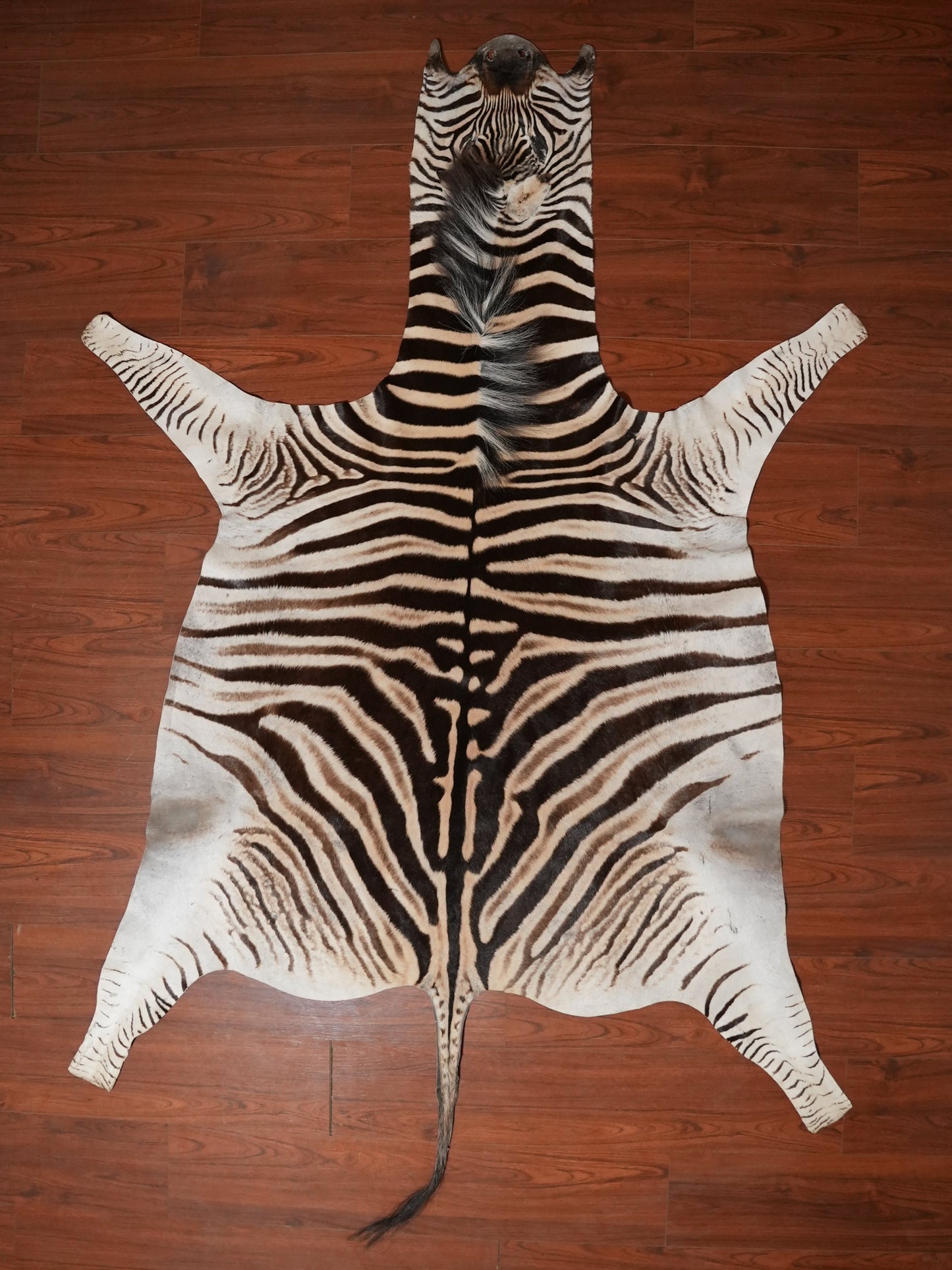 Zebra hide rug decor