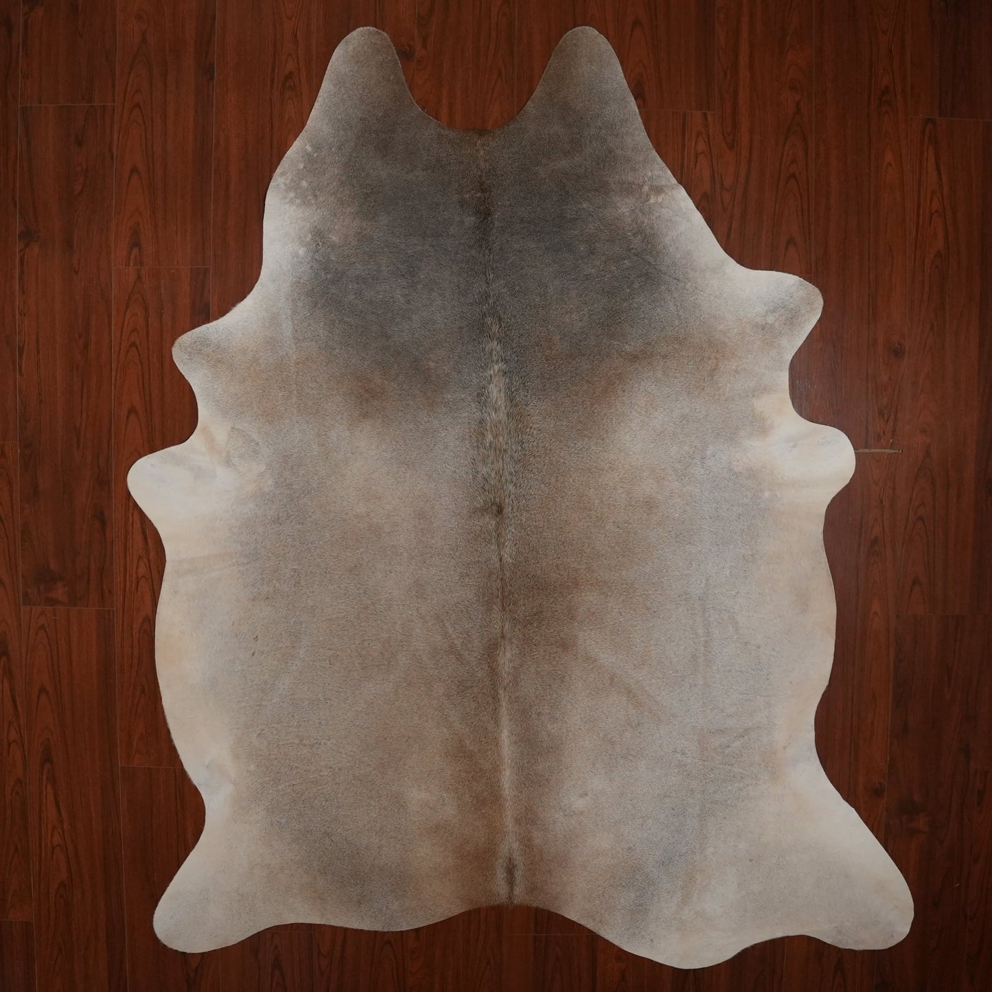 The Nguni Guy Nguni cowhide African decor Authentic cowhide Home decor Interior design Unique pattern Hand-selected Premium quality Natural beauty Exotic rug Genuine hide Statement piece Contemporary style Ethically sourced Sustainable decor Versatile accent Luxury rug Designer piece Modern aesthetic High-end craftsmanship Timeless elegance Designer home accents