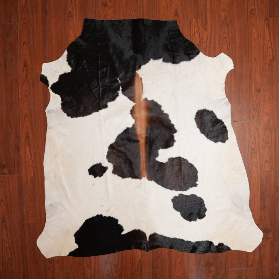 The Nguni Guy Nguni cowhide African decor Authentic cowhide Home decor Interior design Unique pattern Hand-selected Premium quality Natural beauty Exotic rug Genuine hide Statement piece Contemporary style Ethically sourced Sustainable decor Versatile accent Luxury rug Designer piece Modern aesthetic High-end craftsmanship Timeless elegance Designer home accents