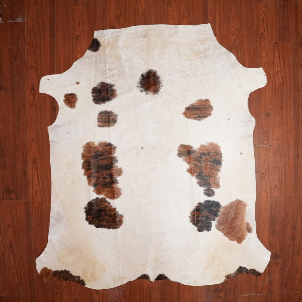 The Nguni Guy Nguni cowhide African decor Authentic cowhide Home decor Interior design Unique pattern Hand-selected Premium quality Natural beauty Exotic rug Genuine hide Statement piece Contemporary style Ethically sourced Sustainable decor Versatile accent Luxury rug Designer piece Modern aesthetic High-end craftsmanship Timeless elegance Designer home accents