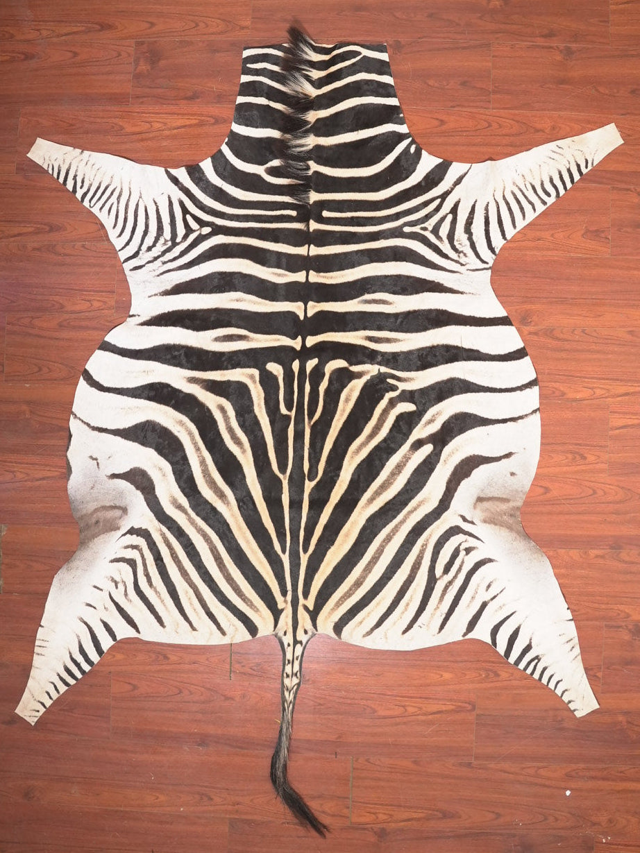 Zebra skin rug on a wooden floor