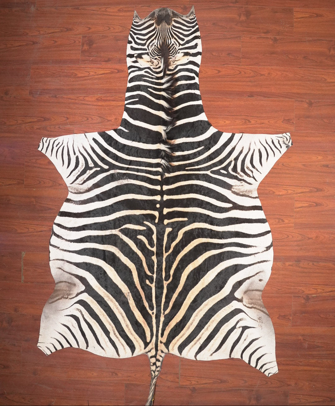 The Nguni Guy Nguni zebra hide African decor Authentic zebra skin Home decor Interior design Unique pattern Hand-selected Premium quality Natural beauty Exotic rug Genuine hide Statement piece Contemporary style Ethically sourced Sustainable decor Versatile accent Luxury rug Designer piece Modern aesthetic High-end craftsmanship Timeless elegance Designer home accents