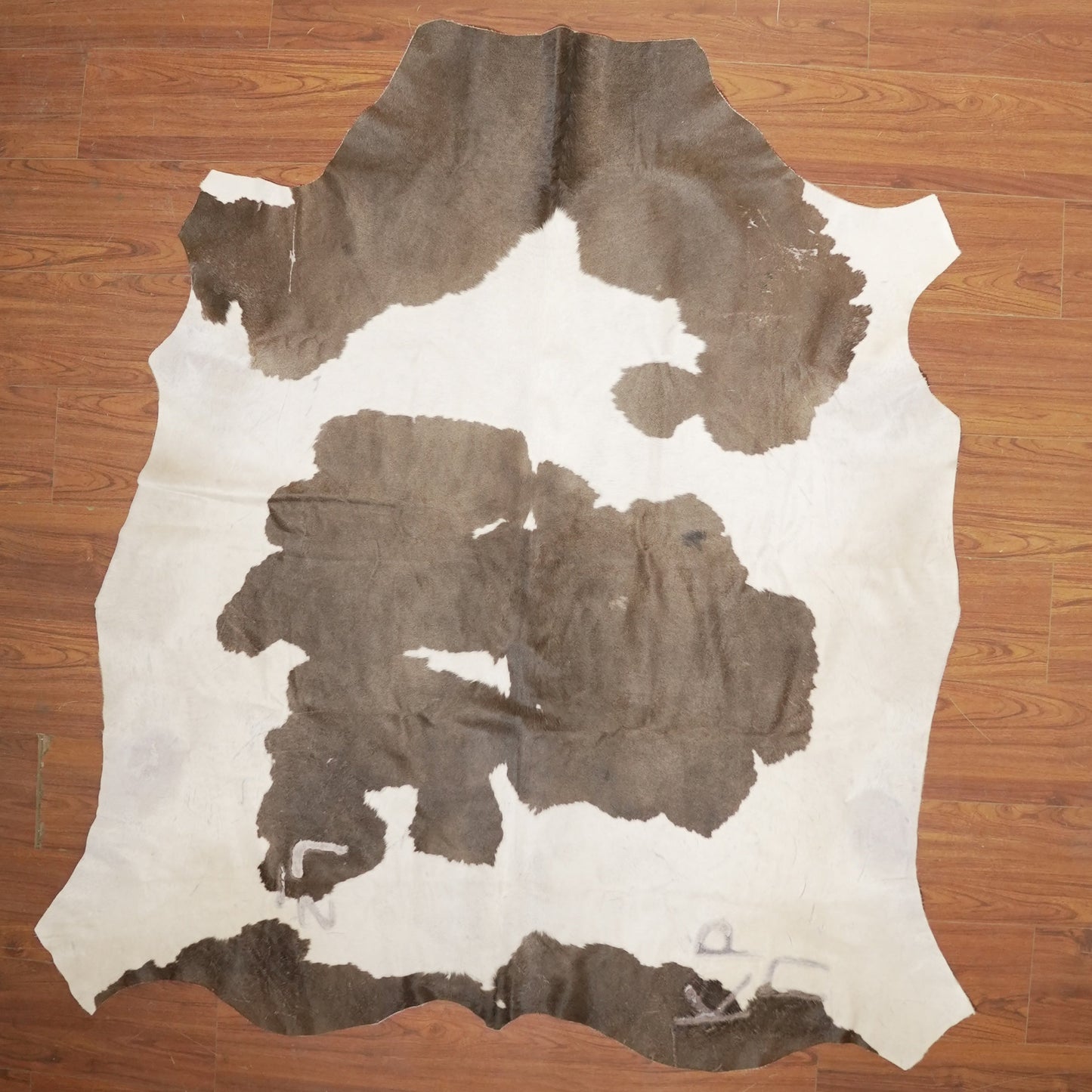The Nguni Guy Nguni cowhide African decor Authentic cowhide Home decor Interior design Unique pattern Hand-selected Premium quality Natural beauty Exotic rug Genuine hide Statement piece Contemporary style Ethically sourced Sustainable decor Versatile accent Luxury rug Designer piece Modern aesthetic High-end craftsmanship Timeless elegance Designer home accents