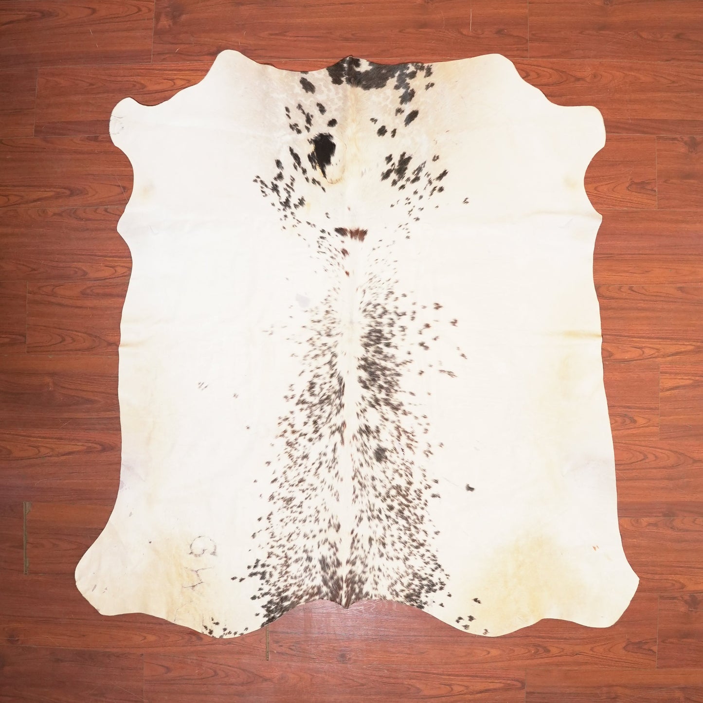 The Nguni Guy Nguni cowhide African decor Authentic cowhide Home decor Interior design Unique pattern Hand-selected Premium quality Natural beauty Exotic rug Genuine hide Statement piece Contemporary style Ethically sourced Sustainable decor Versatile accent Luxury rug Designer piece Modern aesthetic High-end craftsmanship Timeless elegance Designer home accents