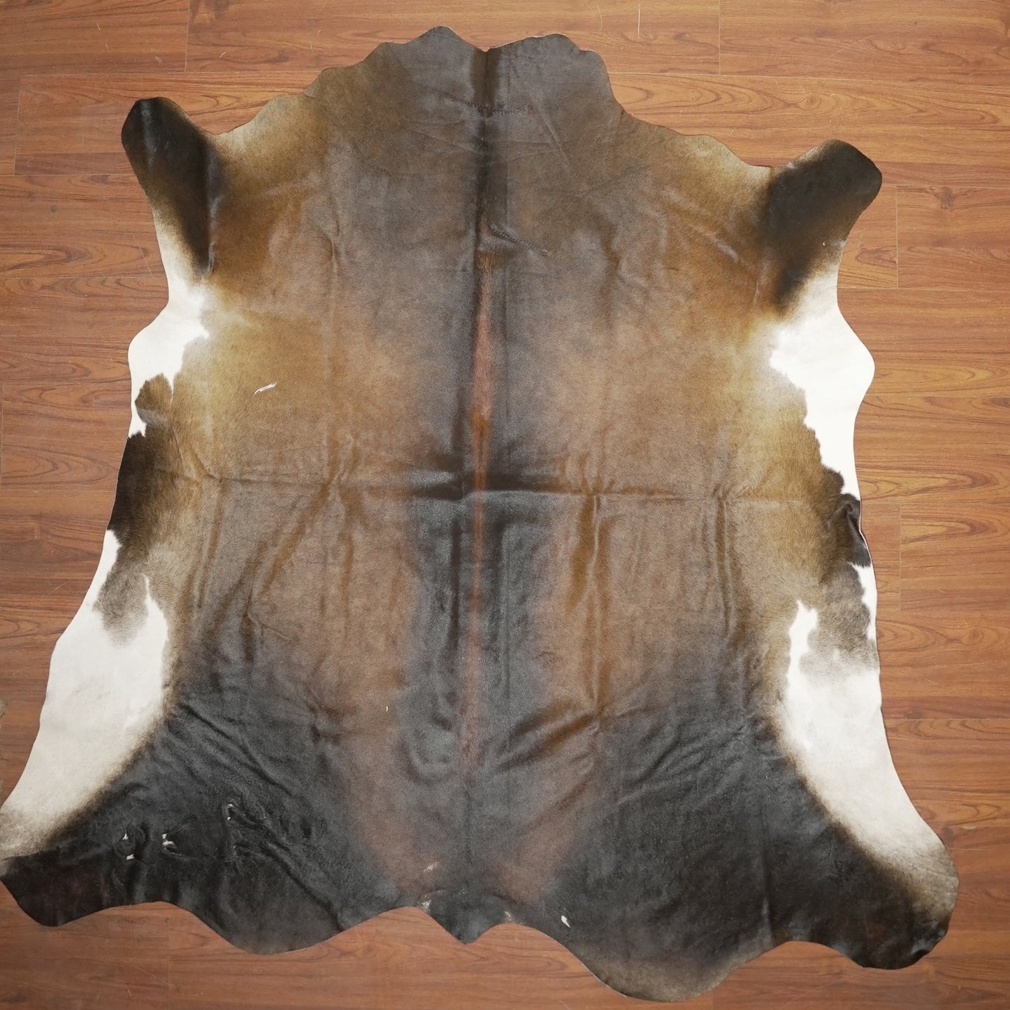 The Nguni Guy Nguni cowhide African decor Authentic cowhide Home decor Interior design Unique pattern Hand-selected Premium quality Natural beauty Exotic rug Genuine hide Statement piece Contemporary style Ethically sourced Sustainable decor Versatile accent Luxury rug Designer piece Modern aesthetic High-end craftsmanship Timeless elegance Designer home accents
