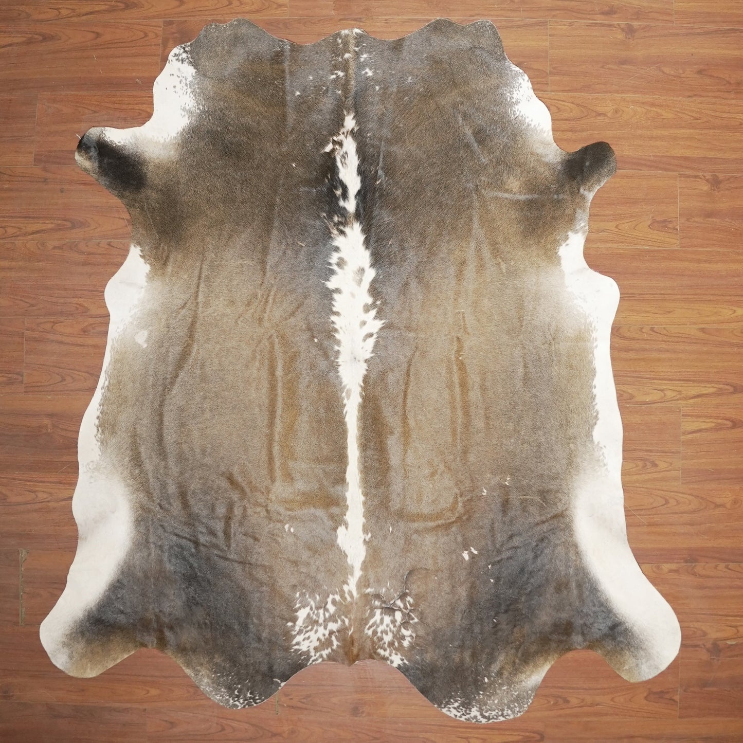 The Nguni Guy Nguni cowhide African decor Authentic cowhide Home decor Interior design Unique pattern Hand-selected Premium quality Natural beauty Exotic rug Genuine hide Statement piece Contemporary style Ethically sourced Sustainable decor Versatile accent Luxury rug Designer piece Modern aesthetic High-end craftsmanship Timeless elegance Designer home accents