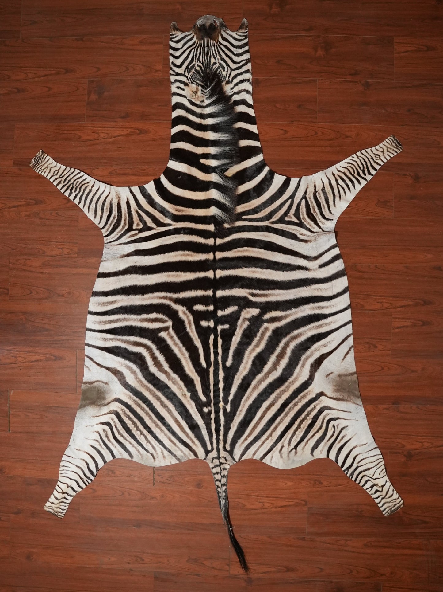 Zebra skin rug on a wooden floor