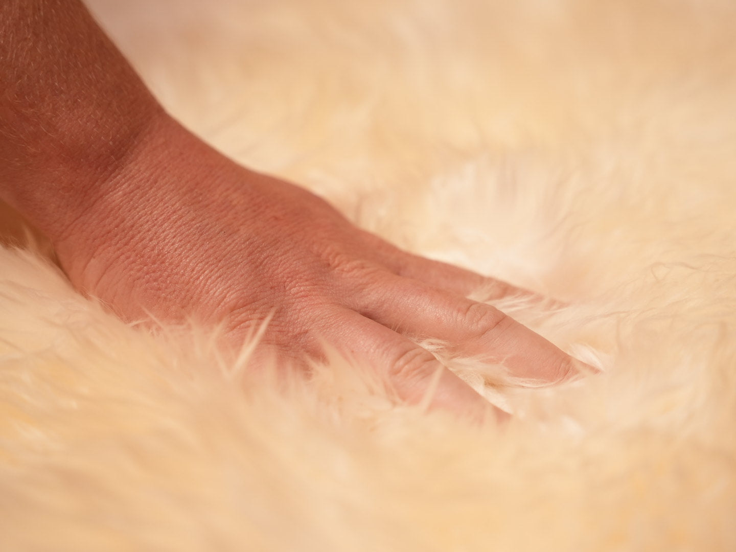 Exotic Romney Wool Sheepskin
