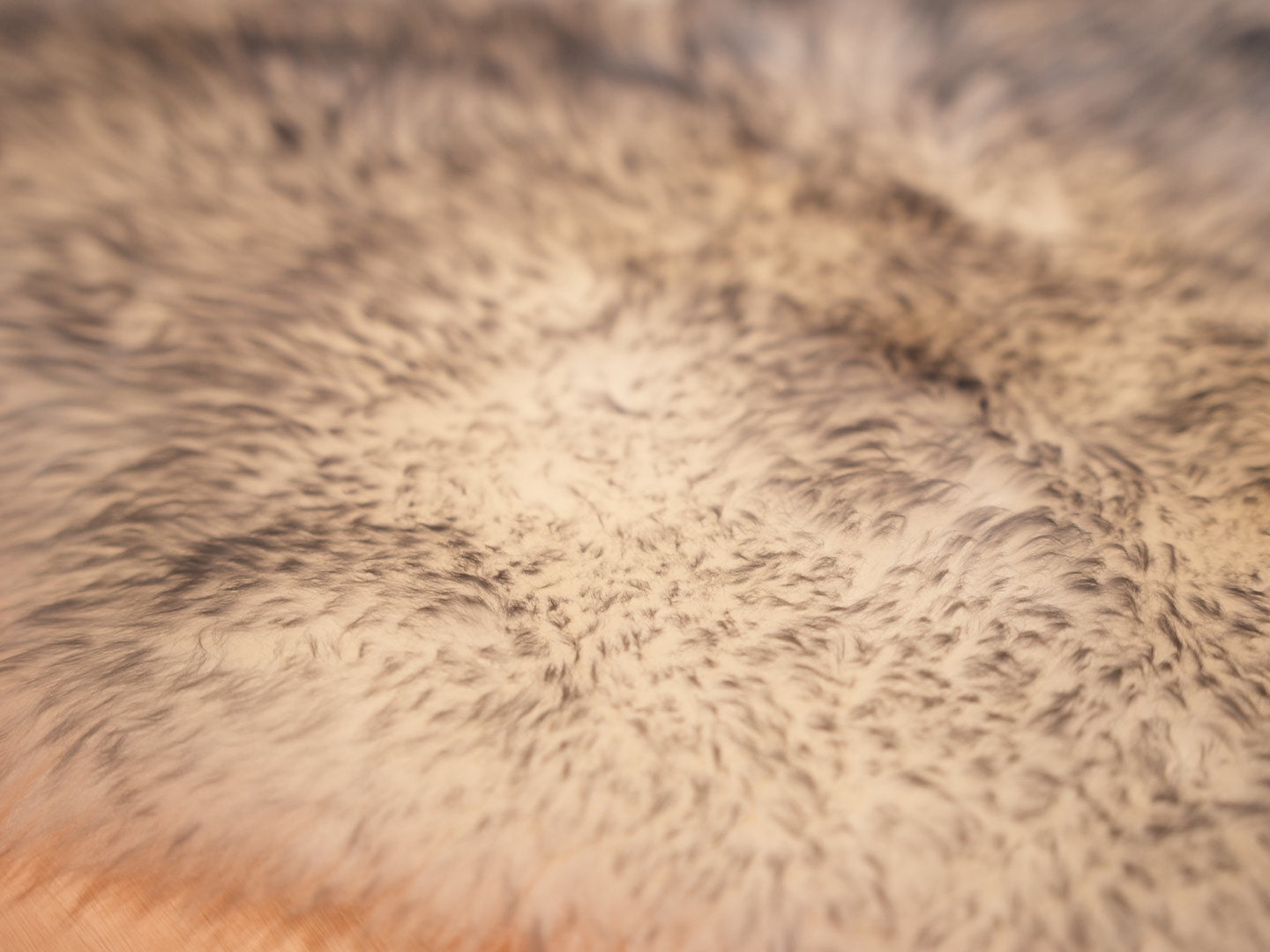 Exotic Romney Wool Sheepskin
