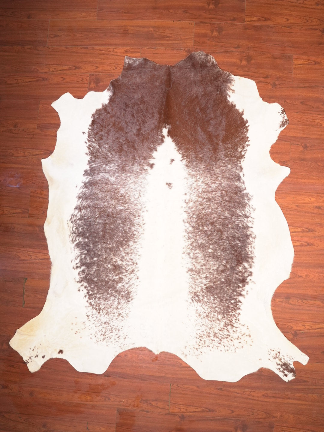 AS Grade Nguni Hide 137 (Brown/White) (XXL)