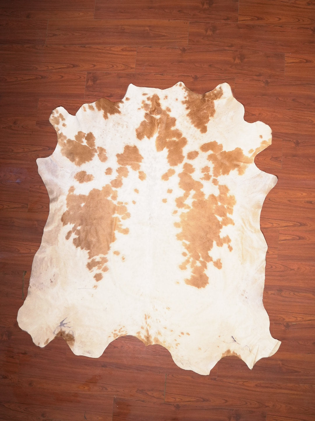 AS Grade Nguni Hide 138 (Brown/White) (XL)