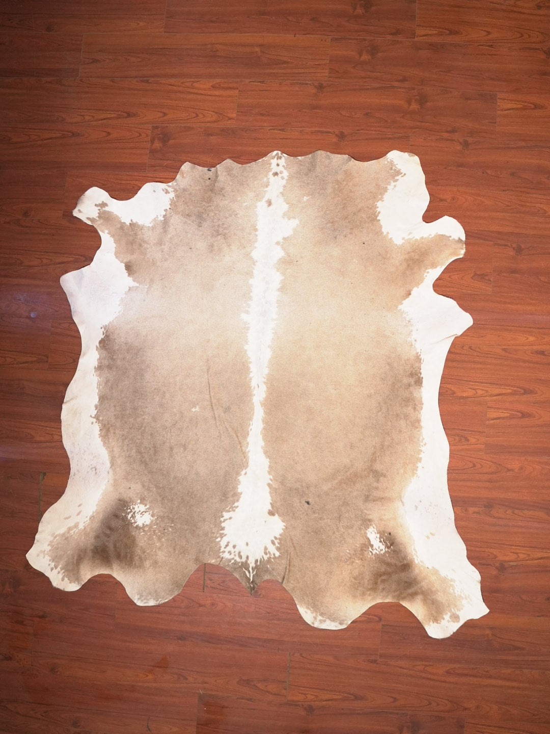 A Grade Nguni Hide 145 (Brown/White) (XL)