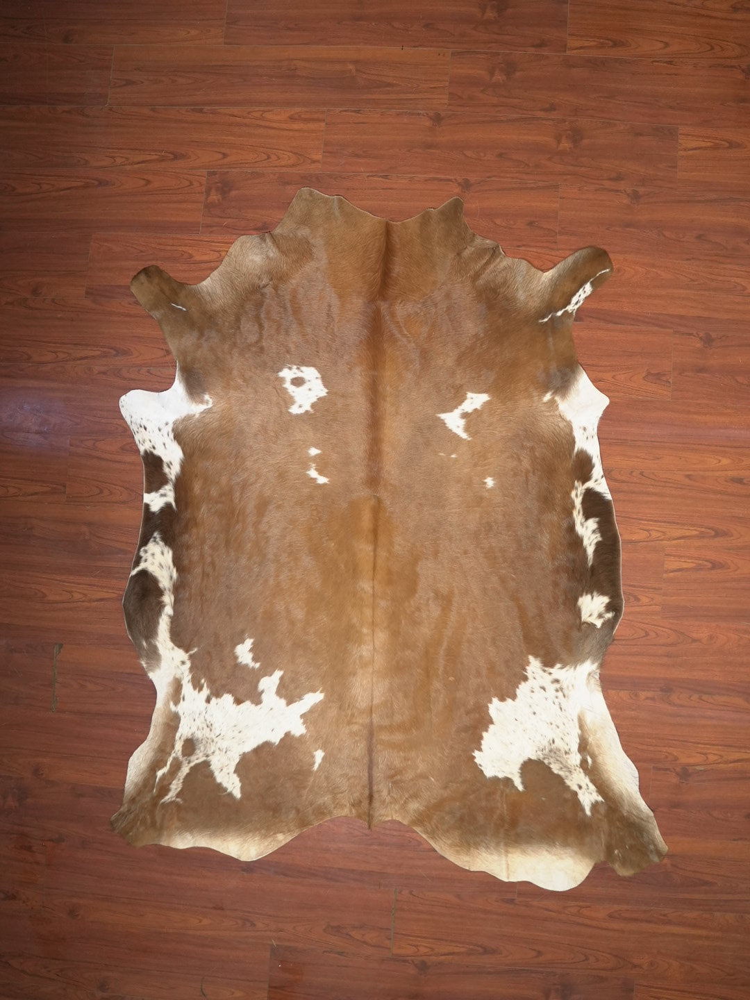 A Grade Nguni Hide 143 (Brown/White) (XXL)