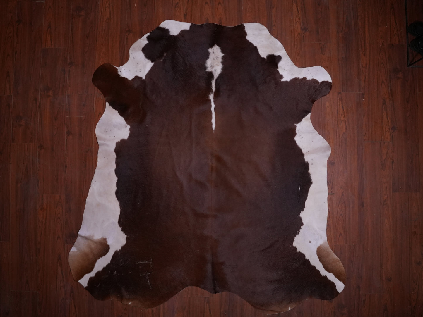 AA Grade Nguni Hide 588 (Brown/White) (L)