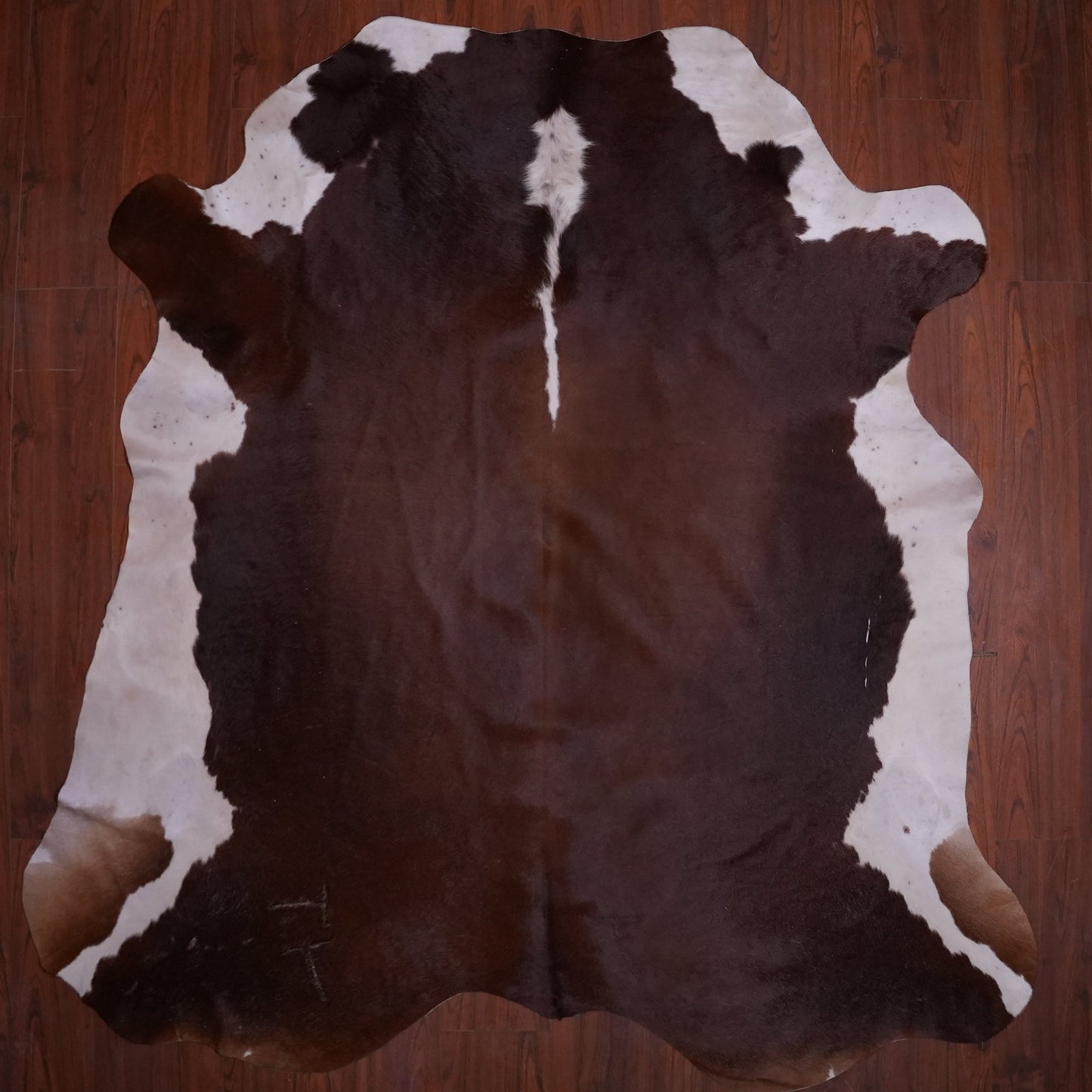 AA Grade Nguni Hide 588 (Brown/White) (L)