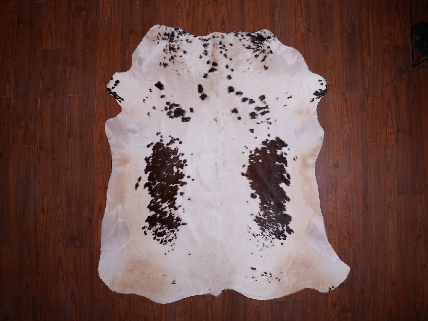 AS Grade Nguni Hide 587 (Brown/White) (L)
