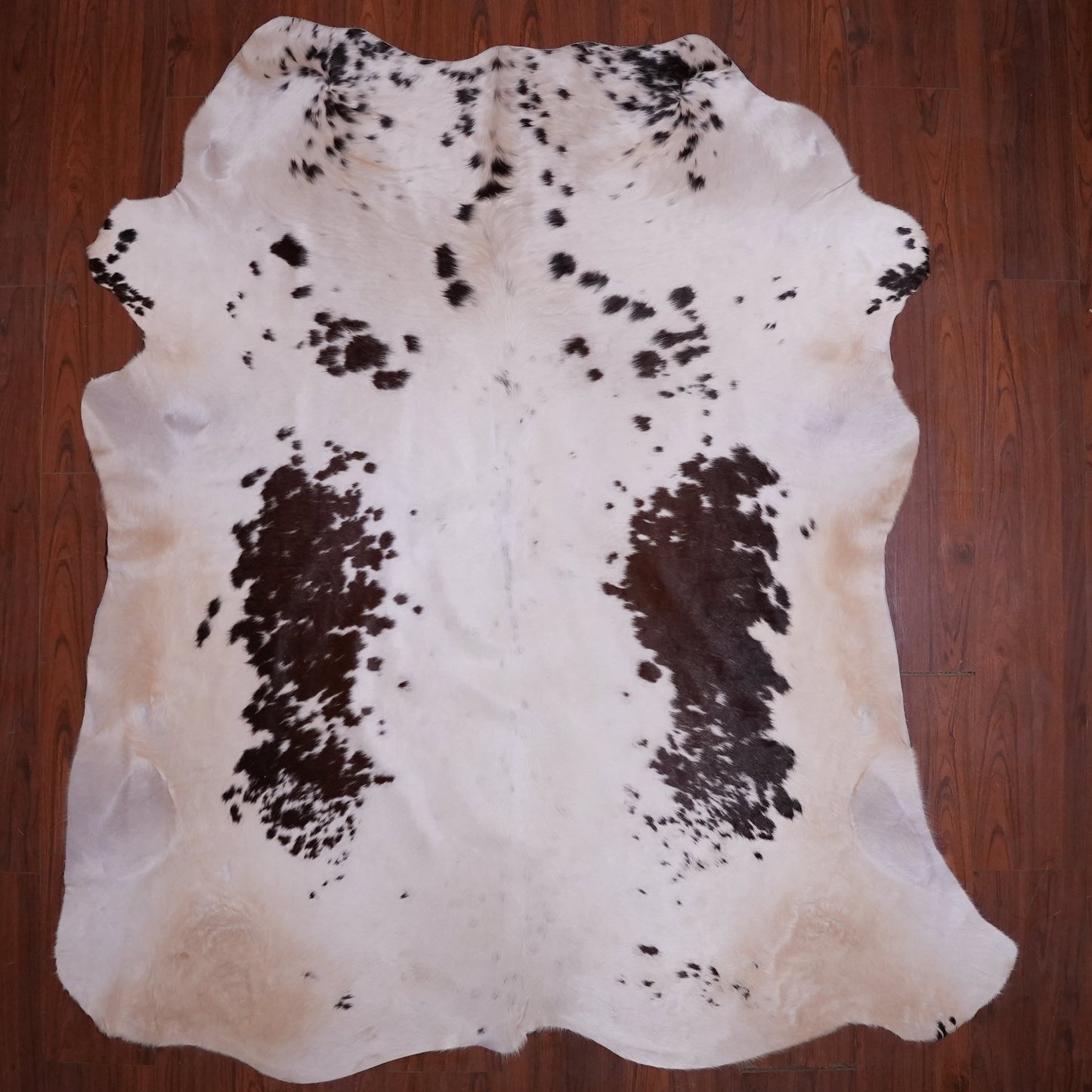 AS Grade Nguni Hide 587 (Brown/White) (L)