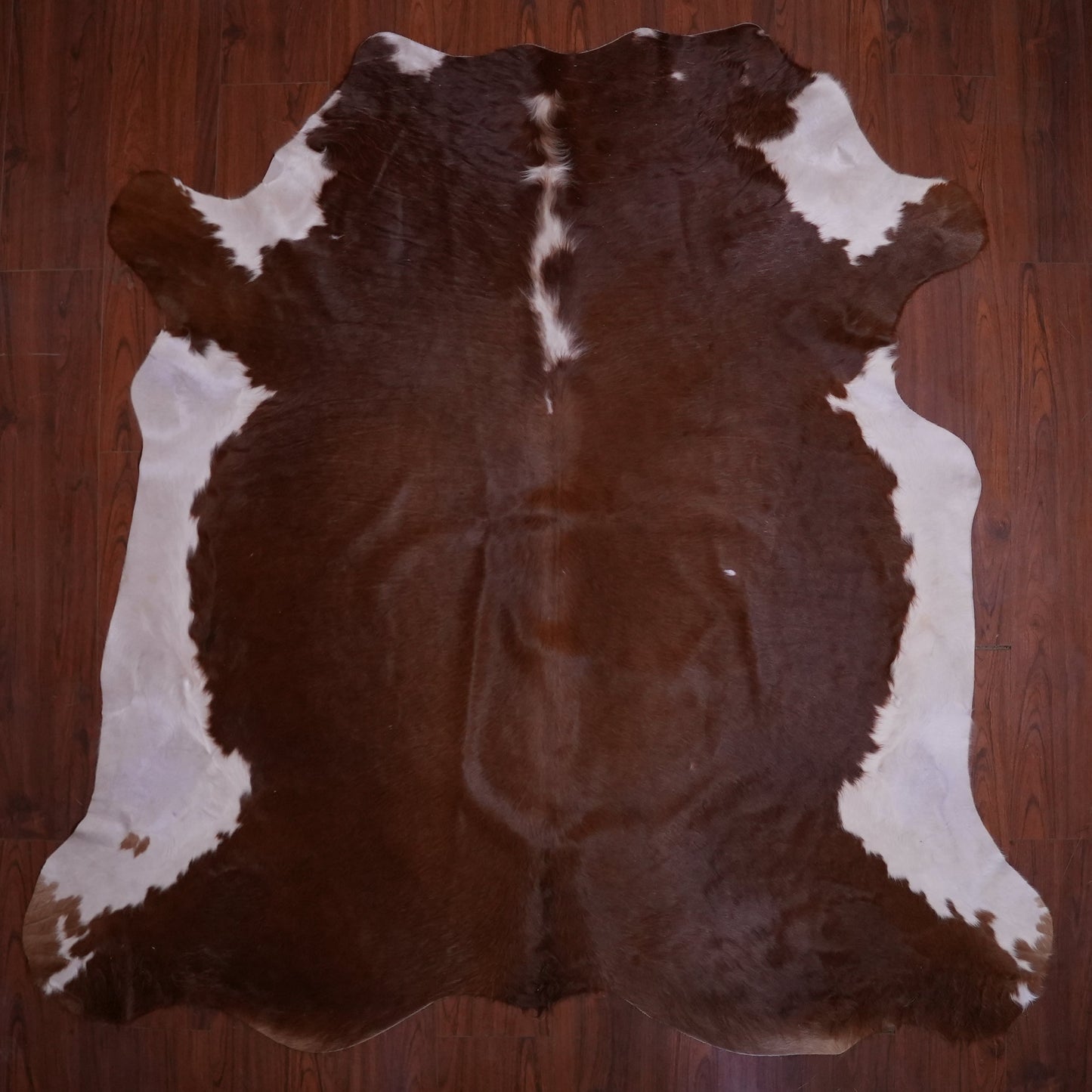 AA Grade Nguni Hide 584 (Brown/White) (L)