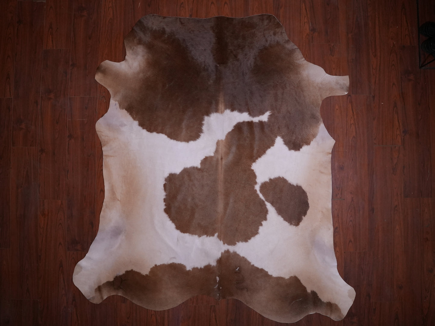 AA Grade Nguni Hide 585 (Brown/White) (L)