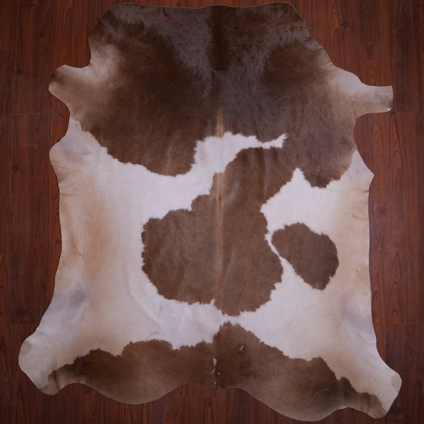 AA Grade Nguni Hide 585 (Brown/White) (L)