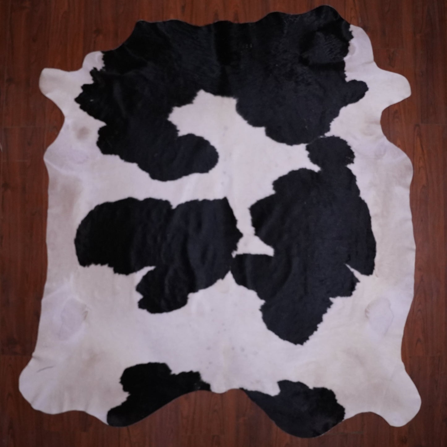 BS Grade Nguni Hide 582 (Black/White) (L)